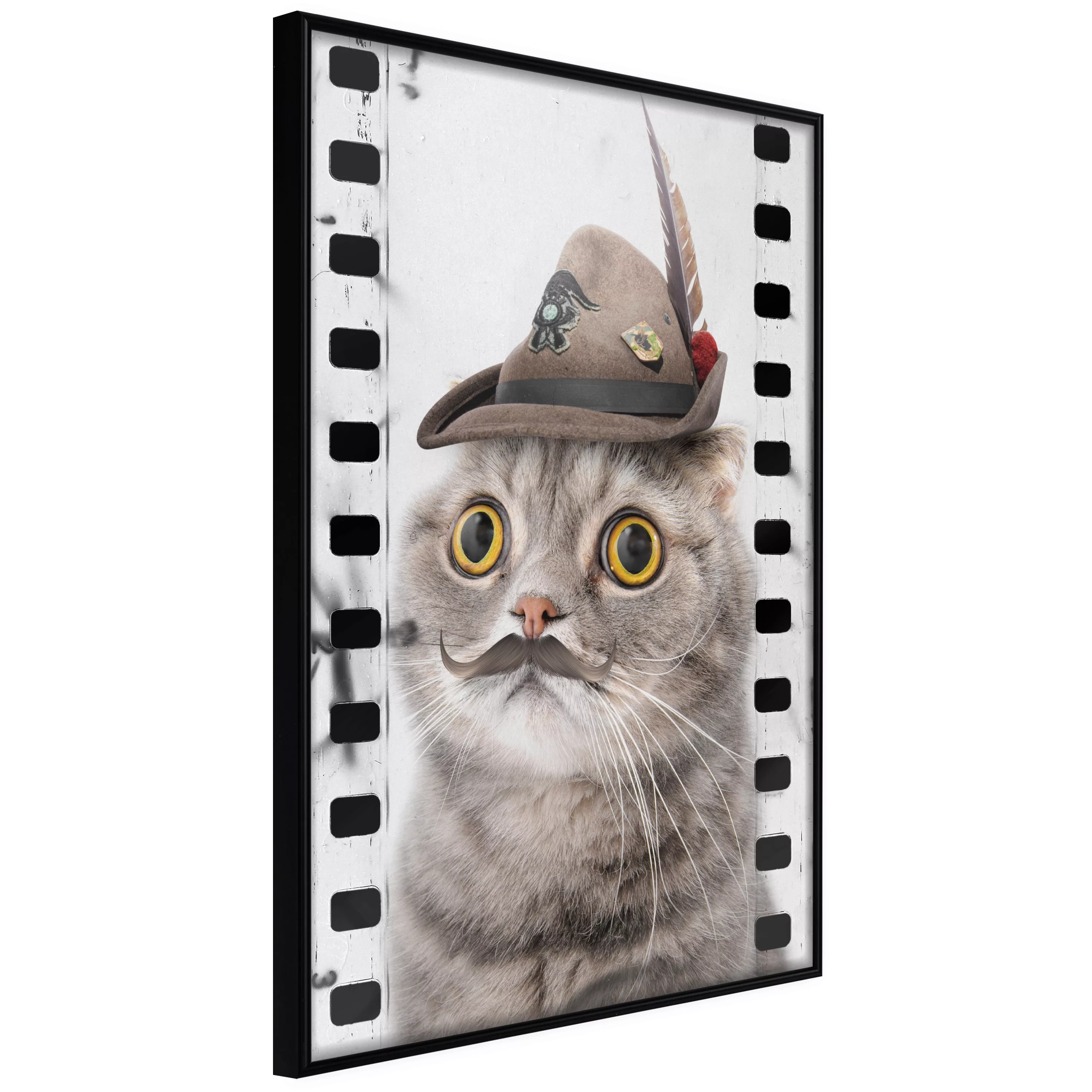 Poster - Dressed Up Cat günstig online kaufen