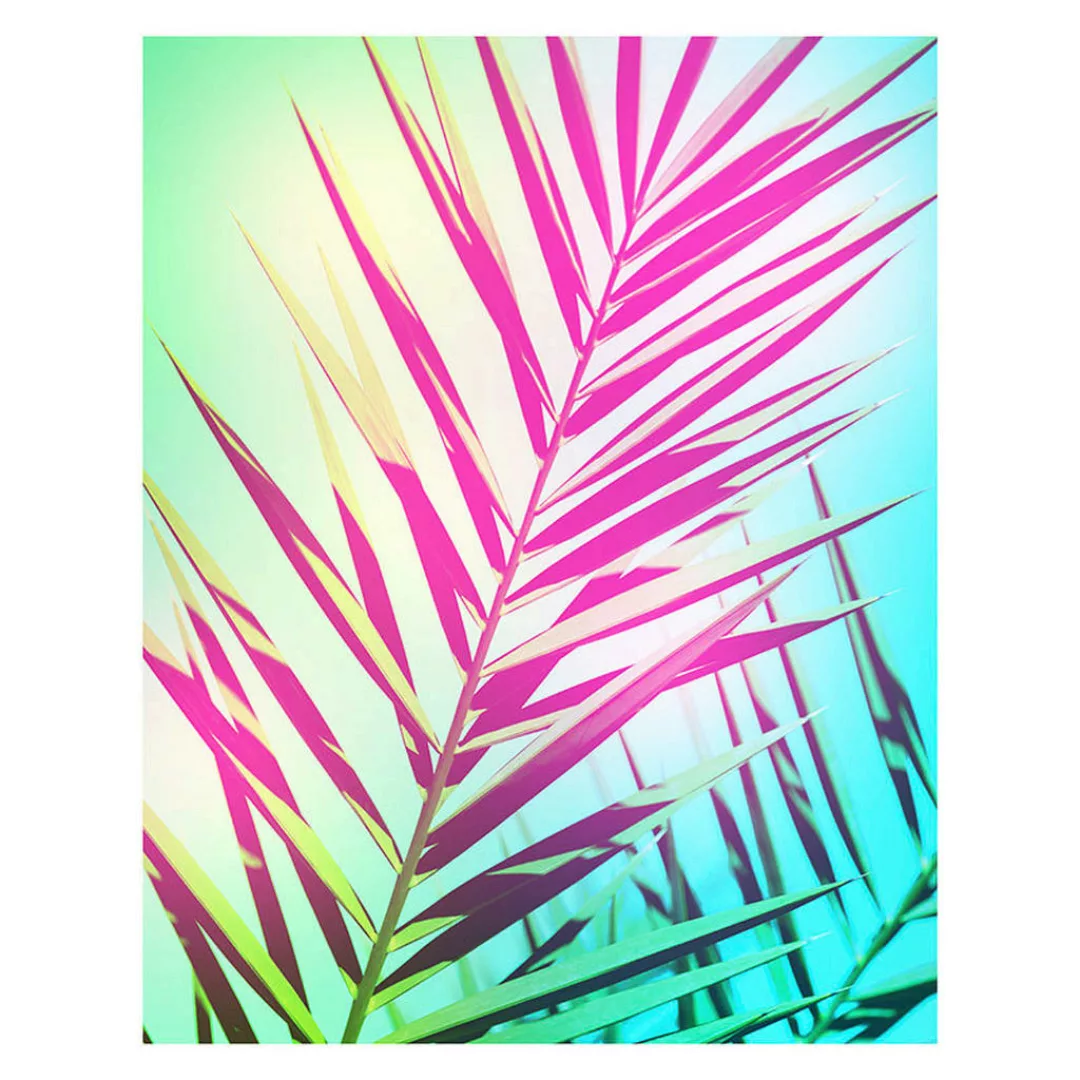 Komar Wandbild Shine Palmenblätter B/L: ca. 40x50 cm günstig online kaufen