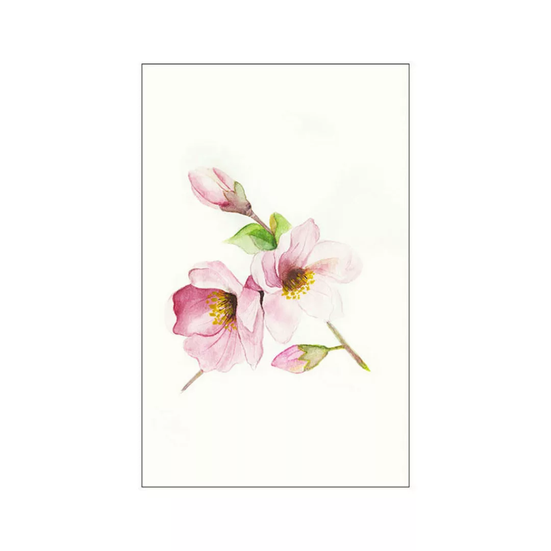 Komar Wandbild Magnolia Breathe Magnolie B/L: ca. 50x70 cm günstig online kaufen