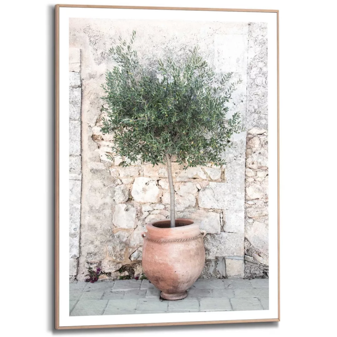 Reinders Bild mit Rahmen "Olive Tree" günstig online kaufen