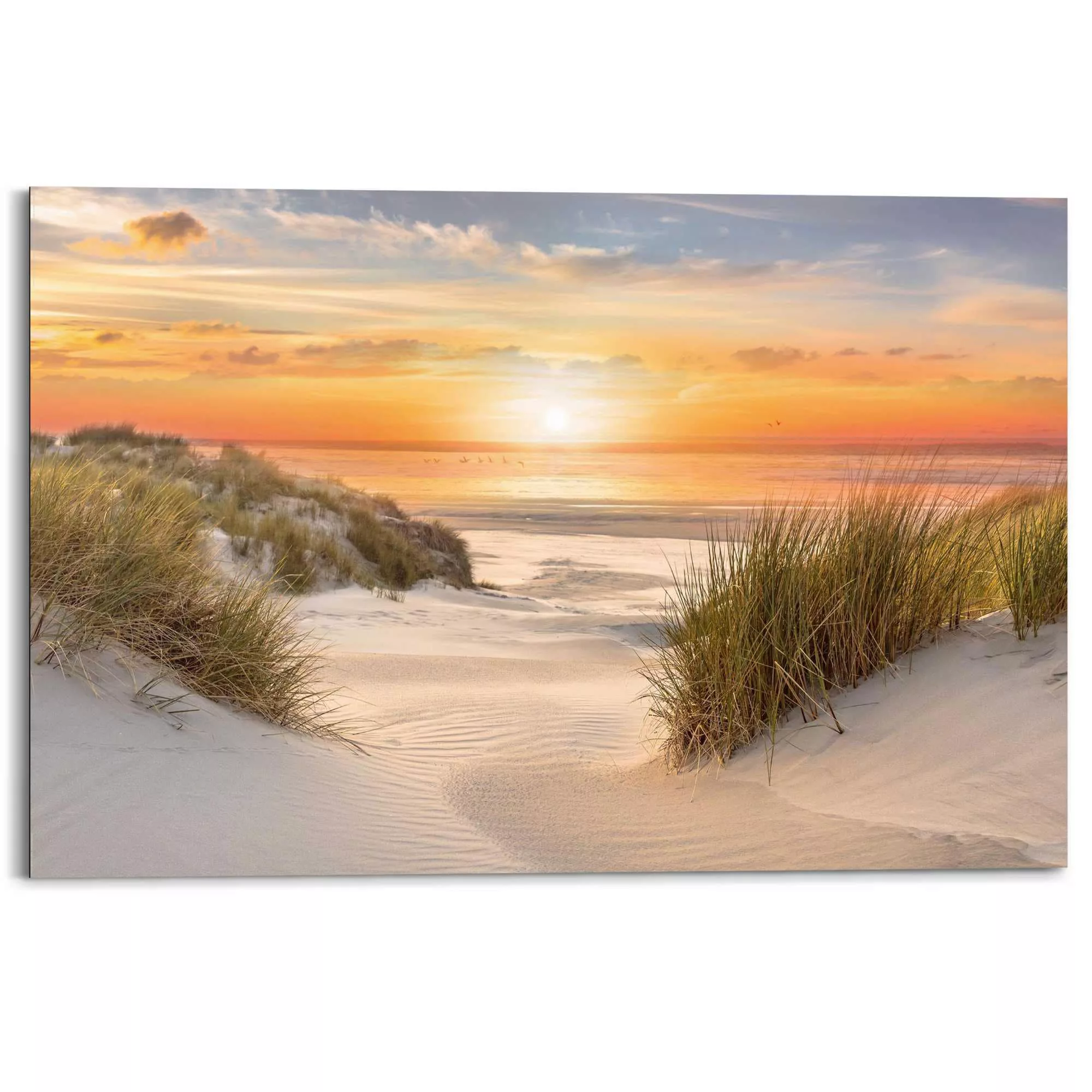 Reinders! Deco-Panel »Beautiful Dunes« günstig online kaufen