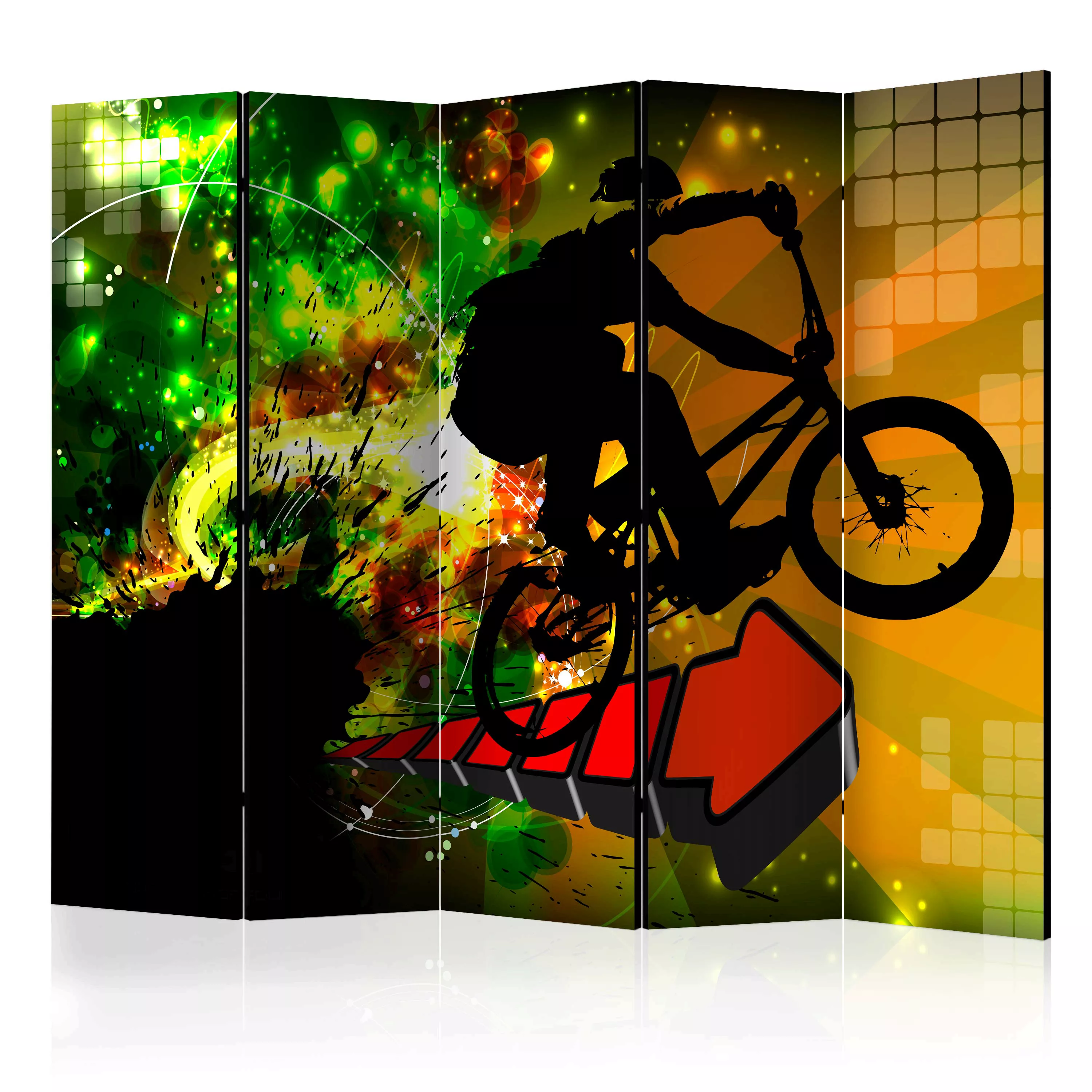 5-teiliges Paravent - Bicycle Tricks Ii [room Dividers] günstig online kaufen