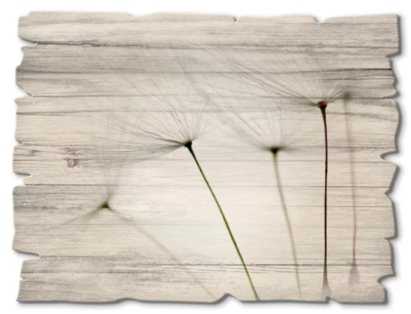 Artland Holzbild "Pusteblumen-Samen I", Blumen, (1 St.) günstig online kaufen