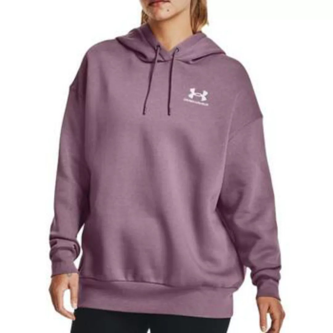 Under Armour  Sweatshirt 1379495-500 günstig online kaufen