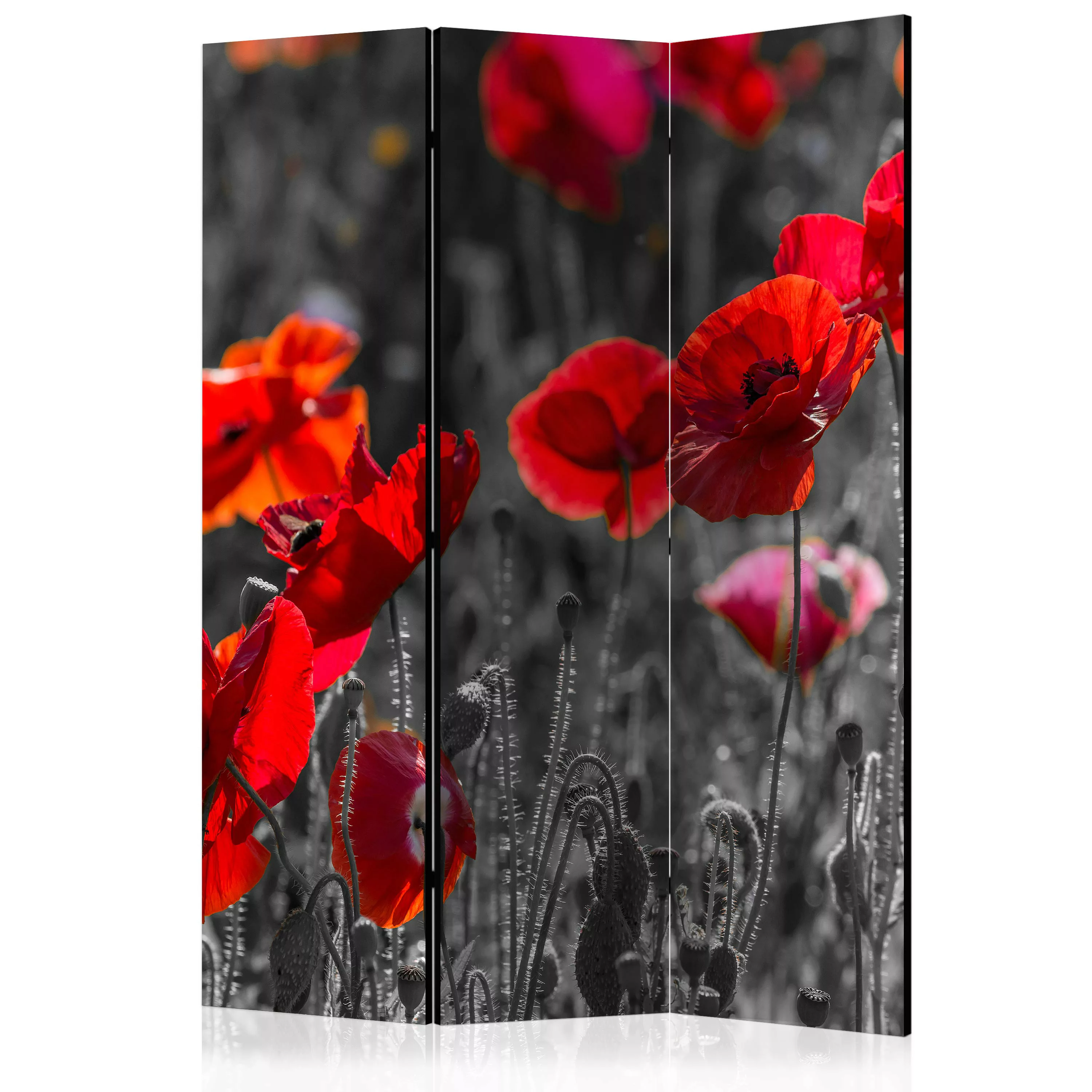 3-teiliges Paravent - Red Poppies [room Dividers] günstig online kaufen