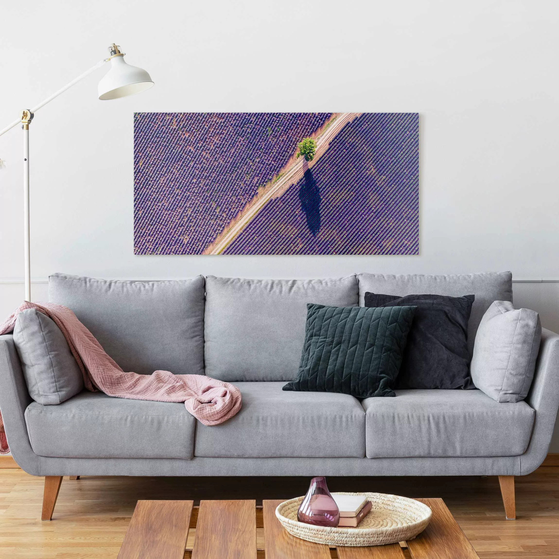 Leinwandbild Lavendelfeld Draufsicht günstig online kaufen