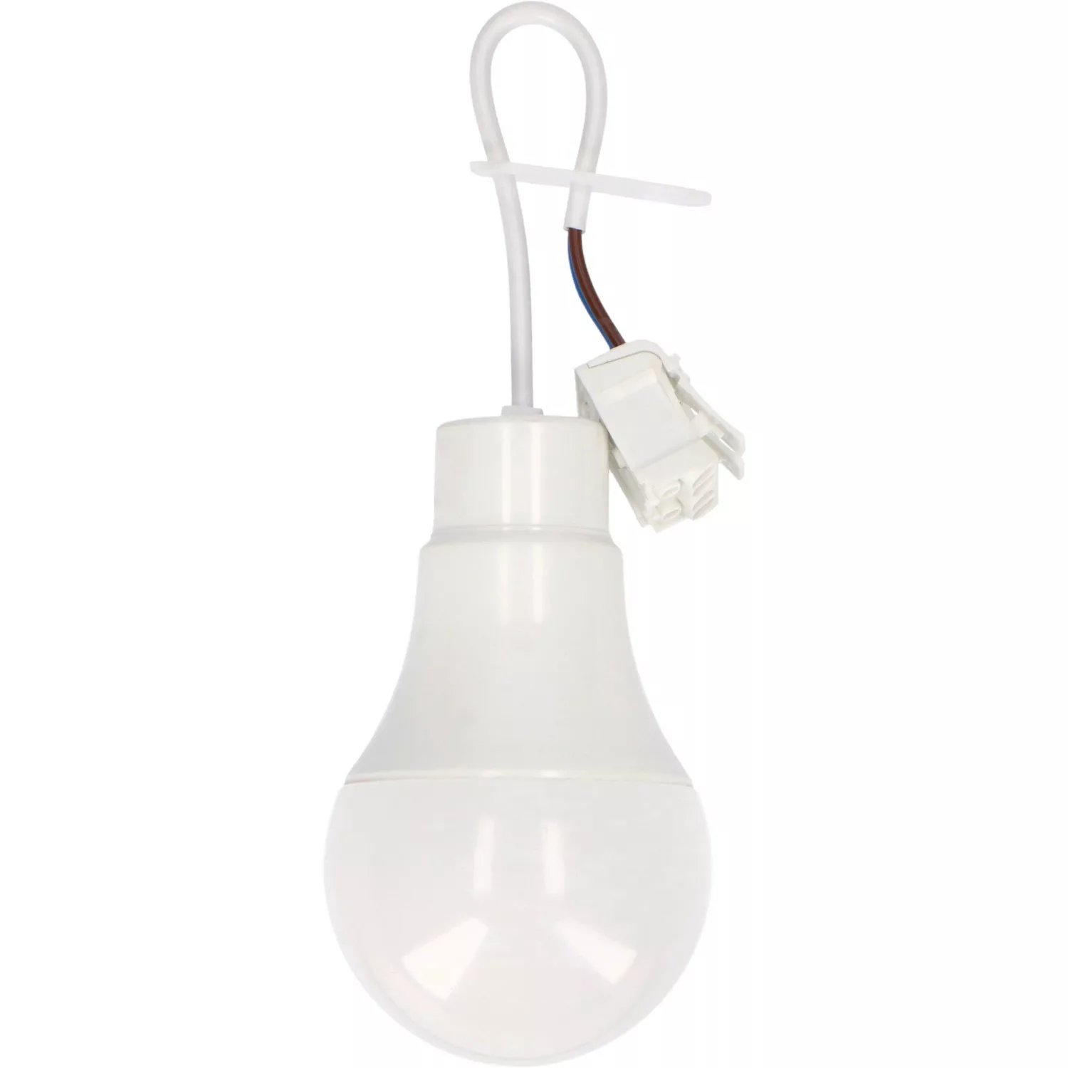 LED's light LED Deckenleuchte 2900062 Renovierlampe, günstig online kaufen