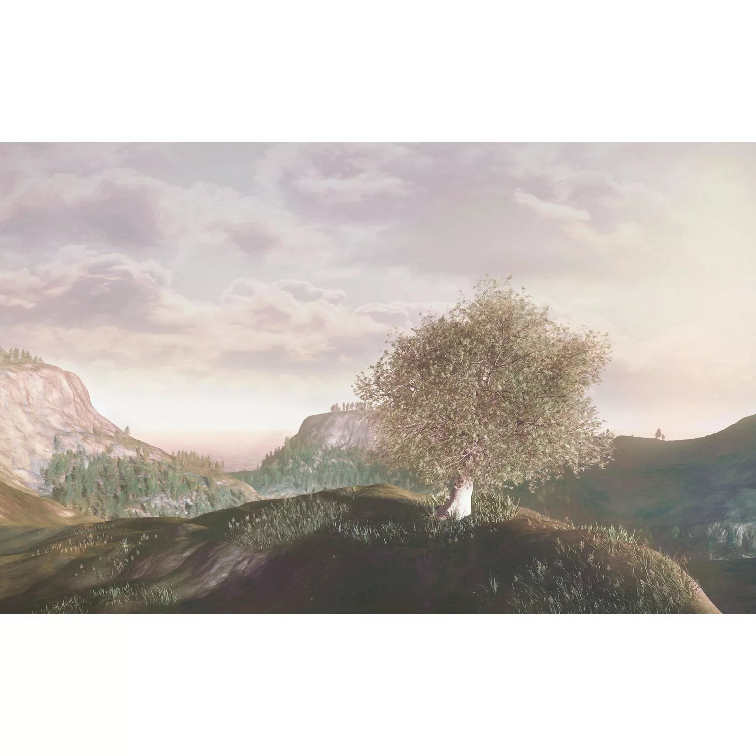 Komar Vliestapete »Digitaldruck Vlies - Dune Grass - Größe 400 x 250 cm«, b günstig online kaufen