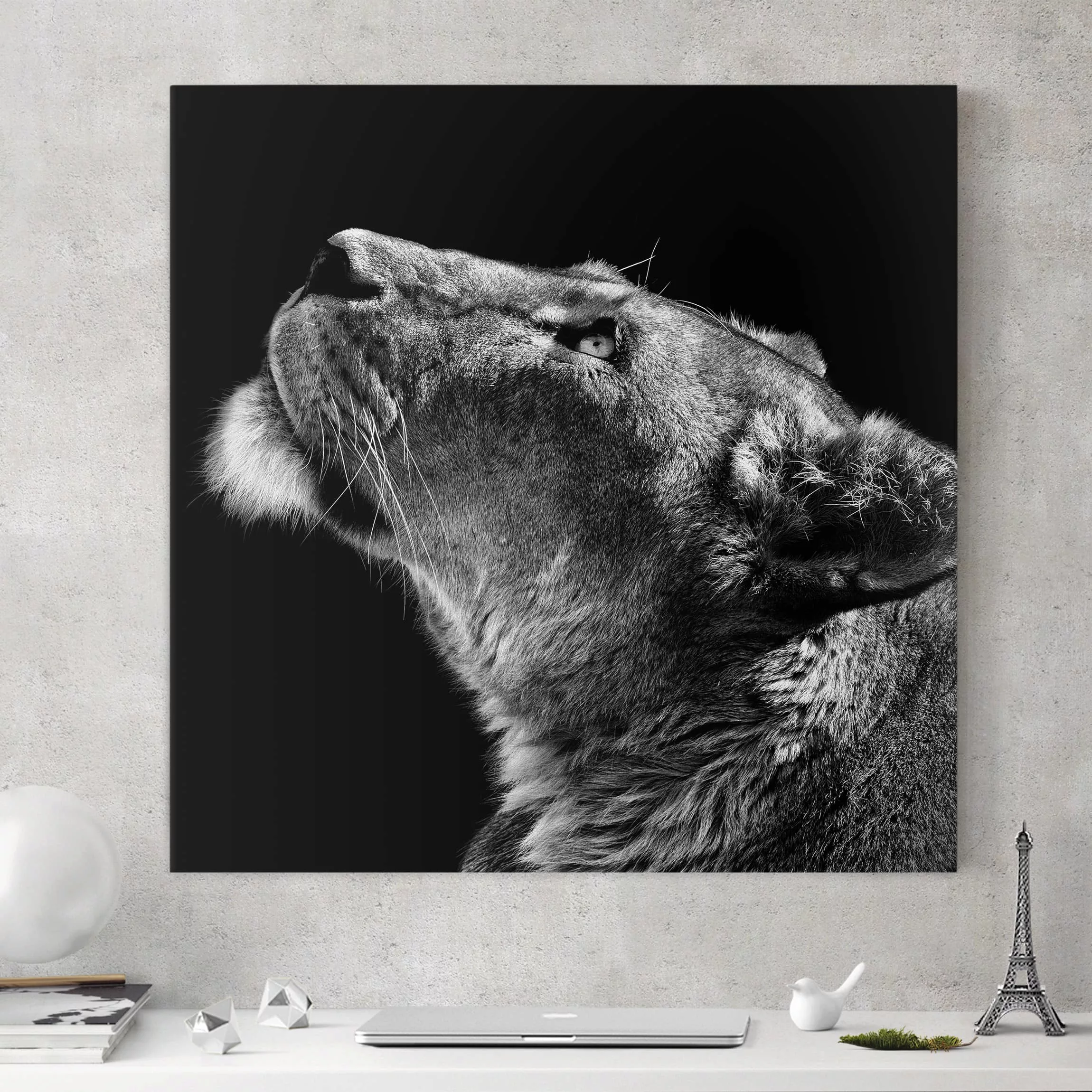 Leinwandbild Tiere - Quadrat Portrait einer Löwin günstig online kaufen