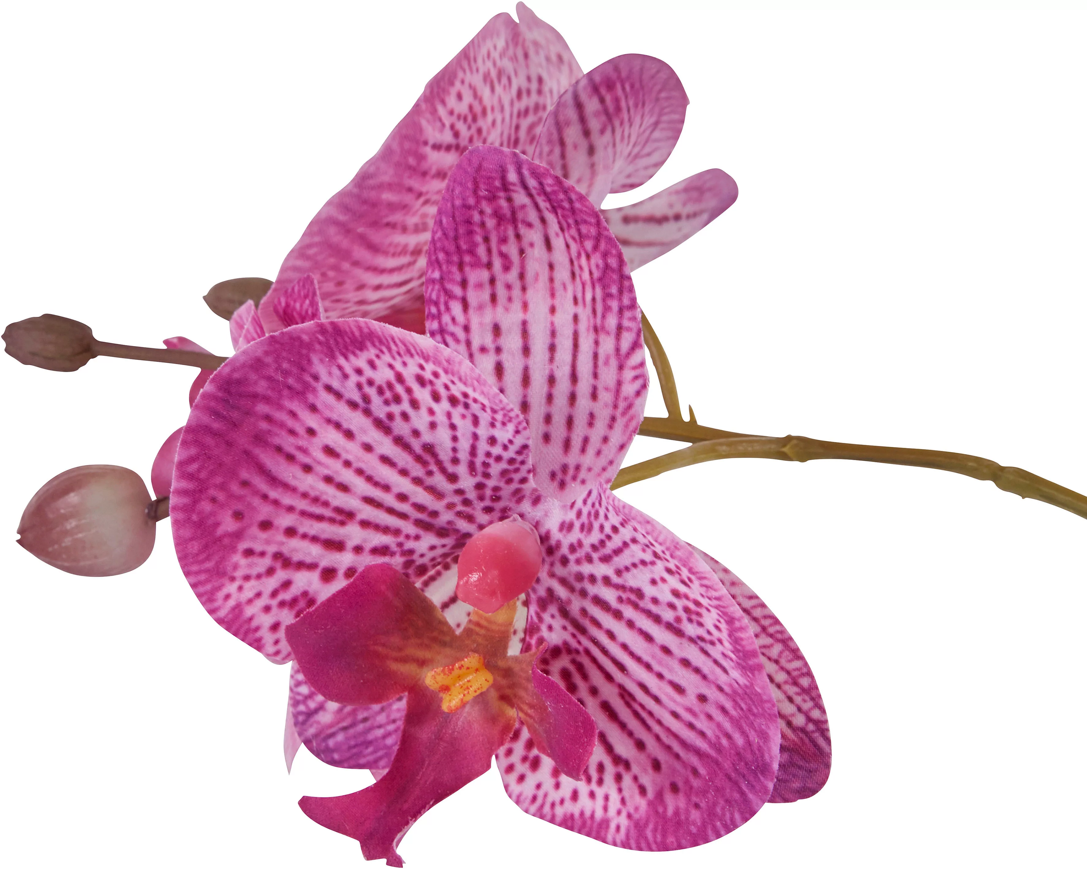 Home affaire Kunstpflanze "Orchidee", Kunstorchidee, im Topf günstig online kaufen