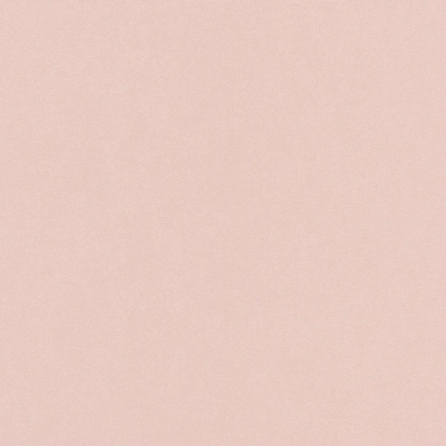 Bricoflor Einfarbige Tapete in Rosa 634205 günstig online kaufen