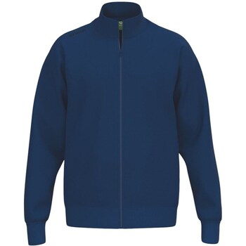 Erima  Sweatshirt 2072536 günstig online kaufen
