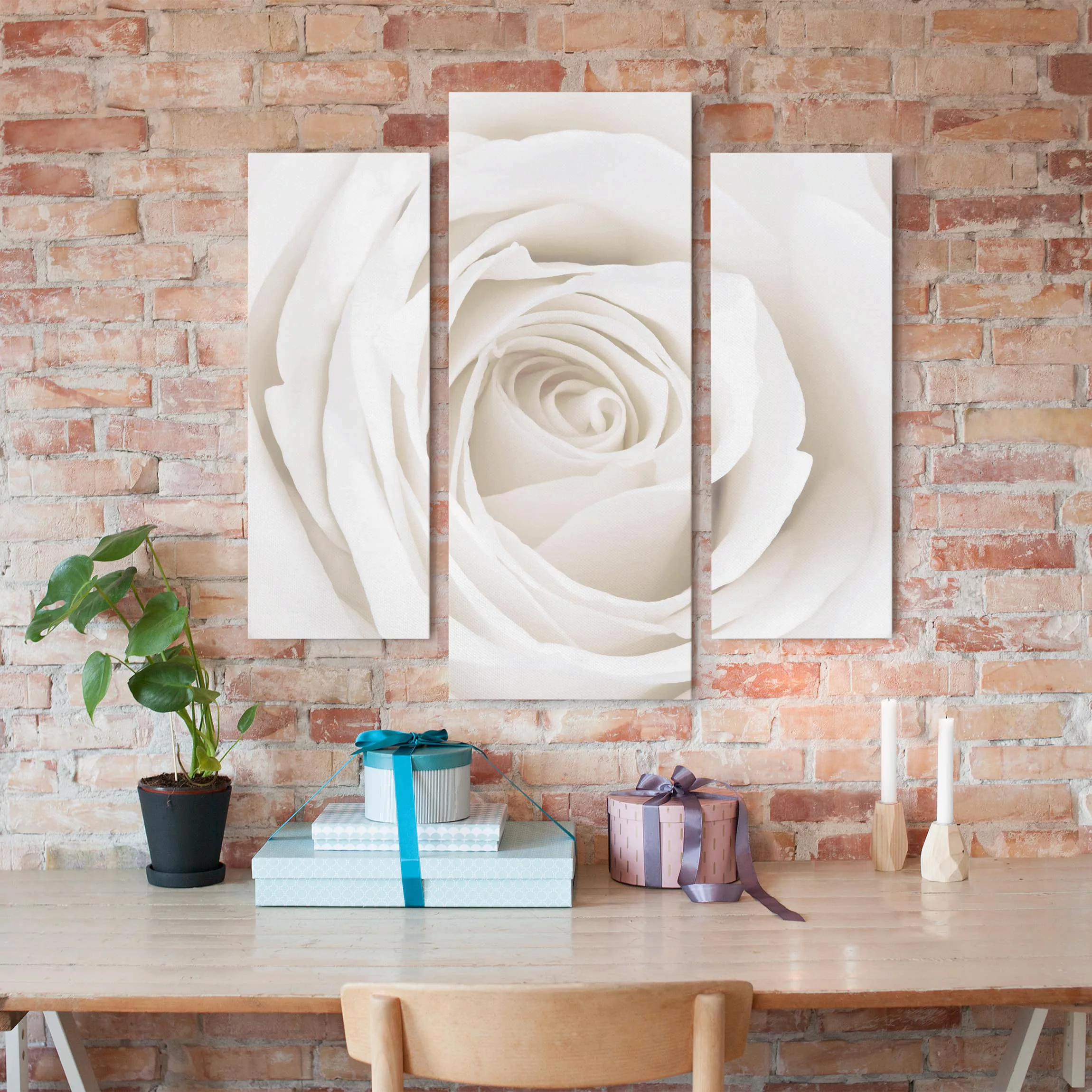 3-teiliges Leinwandbild Blumen - Querformat Pretty White Rose günstig online kaufen