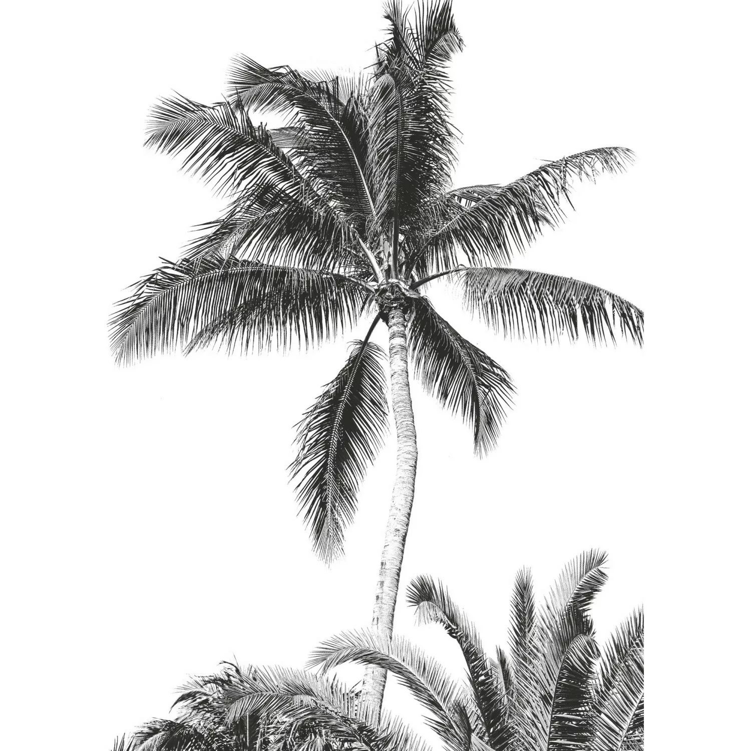 Komar Vliesfototapete Retro Palm 200 cm x 280 cm günstig online kaufen