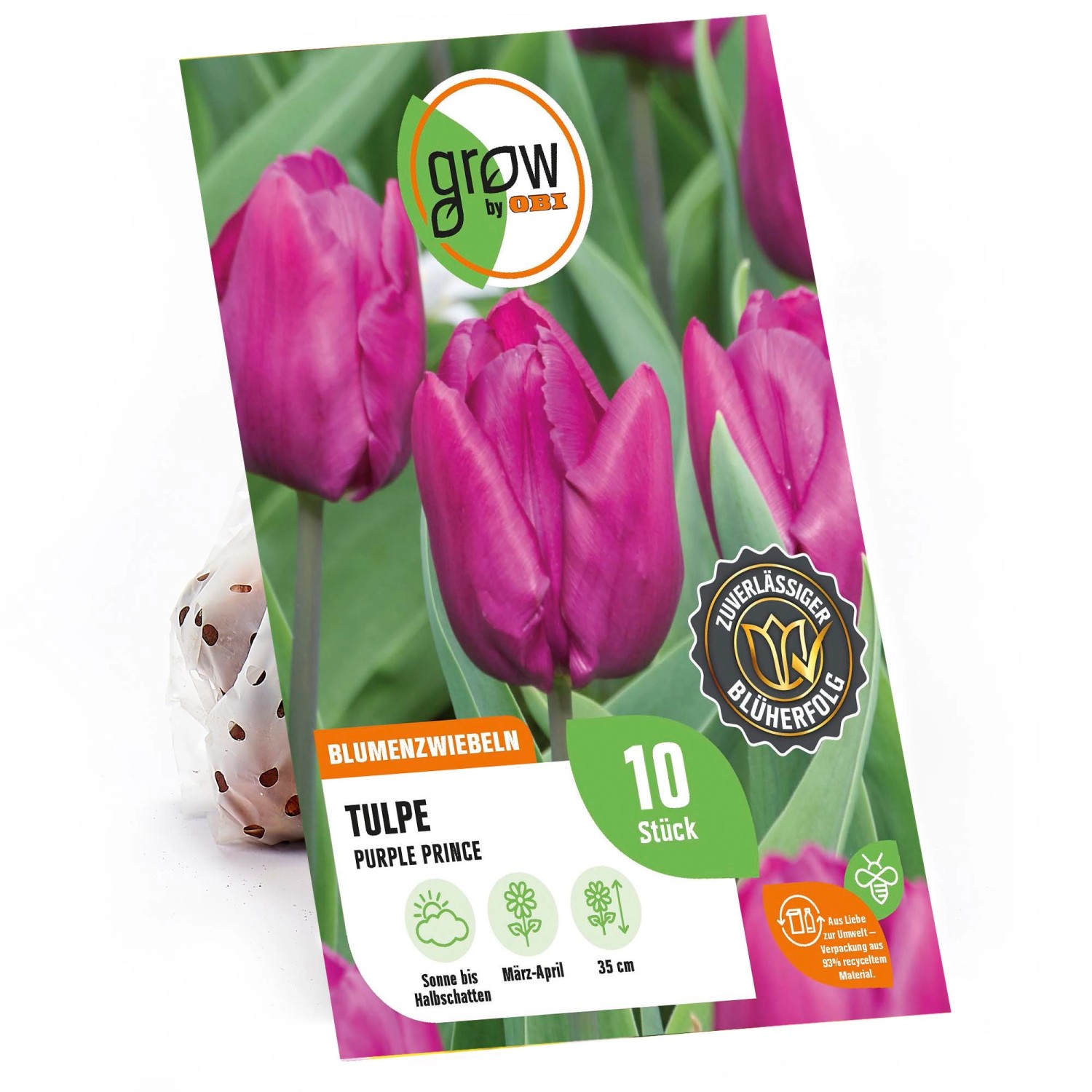 GROW by OBI Tulpe Purple Prince Purpur 35 cm Tulipa günstig online kaufen