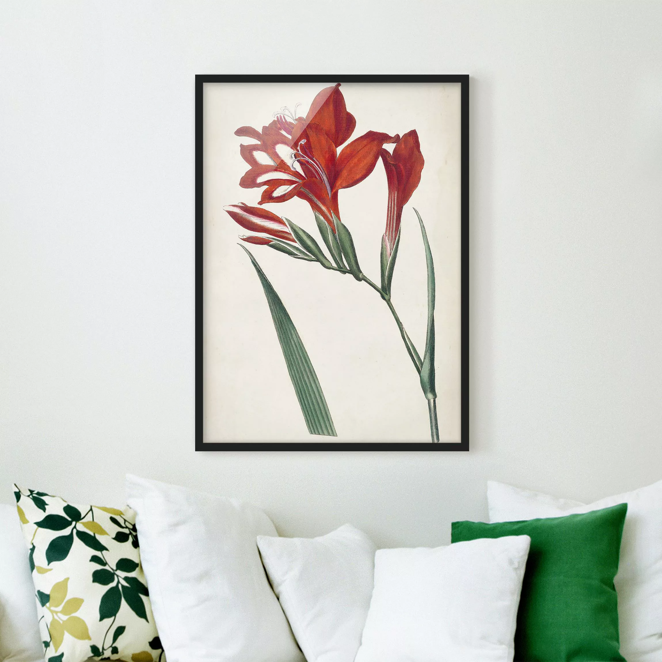 Bild mit Rahmen Blumen - Hochformat Gartenschönheit VI günstig online kaufen