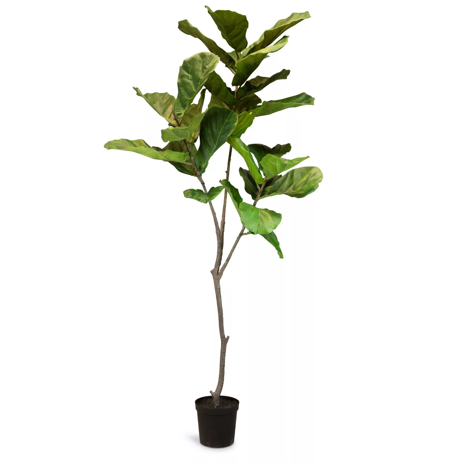 Künstlicher Geigenfeigenbaum - Ficus Lyrata 193 cm günstig online kaufen