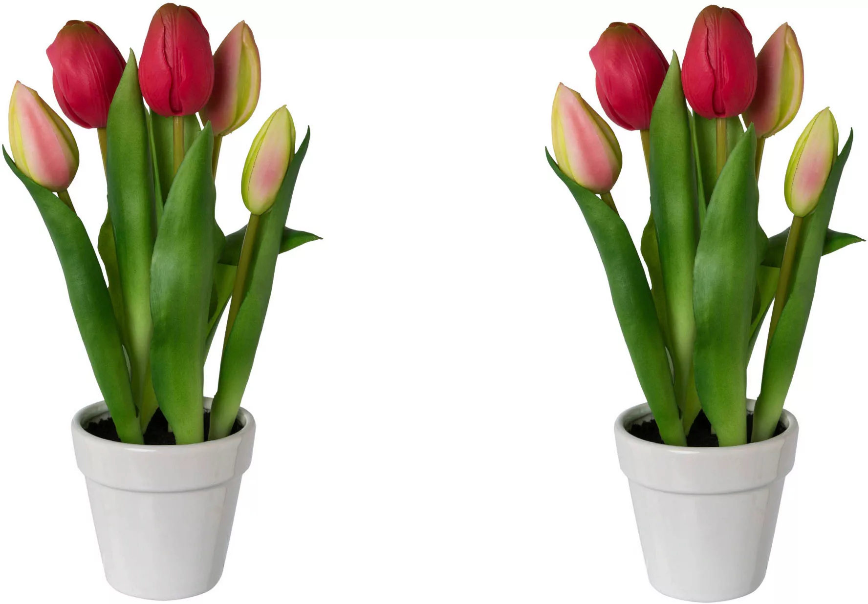 my home Kunsttulpe "Tulpen im Topf" günstig online kaufen