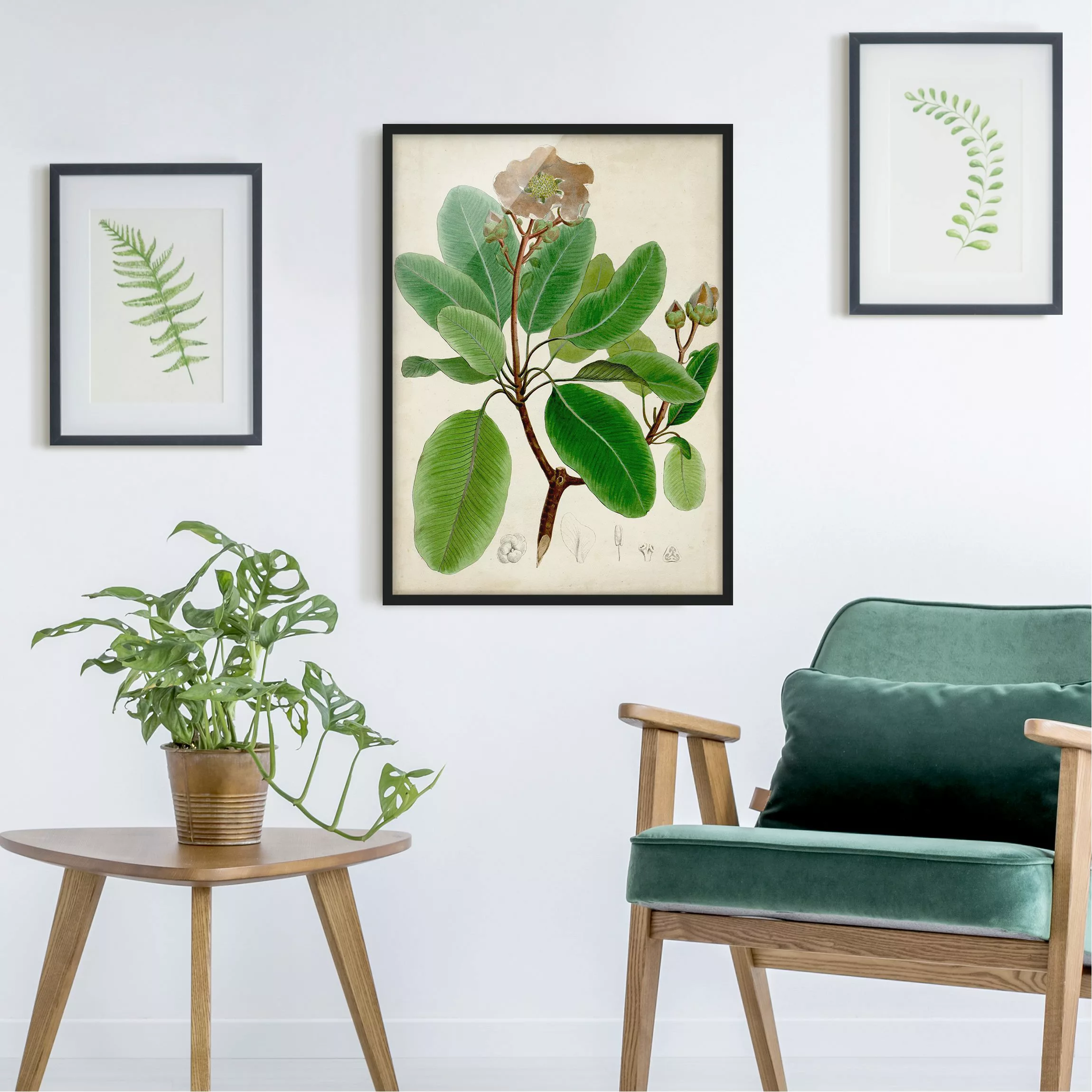 Bild mit Rahmen Blumen - Hochformat Laubbaum Schautafel VI günstig online kaufen