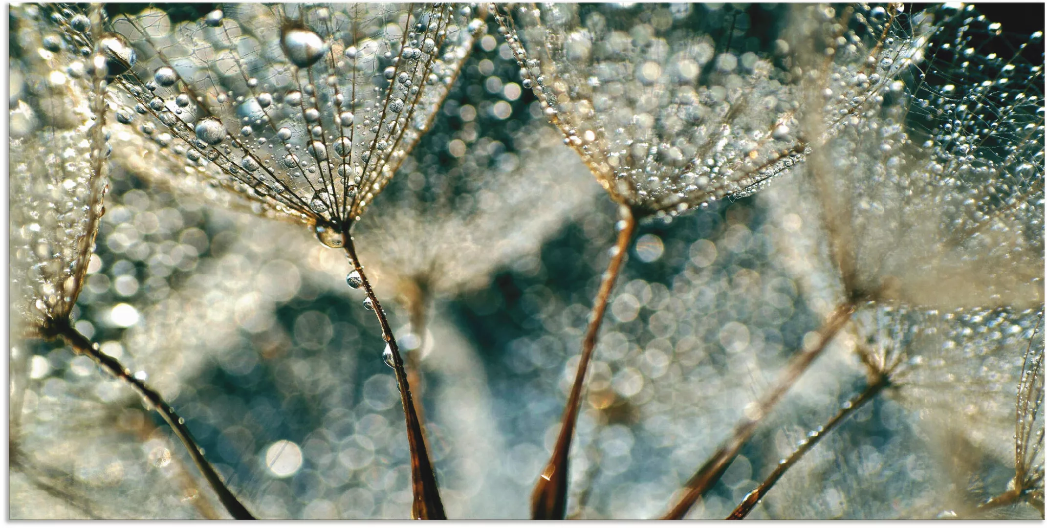 Artland Wandbild »Pusteblume Regenschauer«, Blumen, (1 St.), als Alubild, O günstig online kaufen