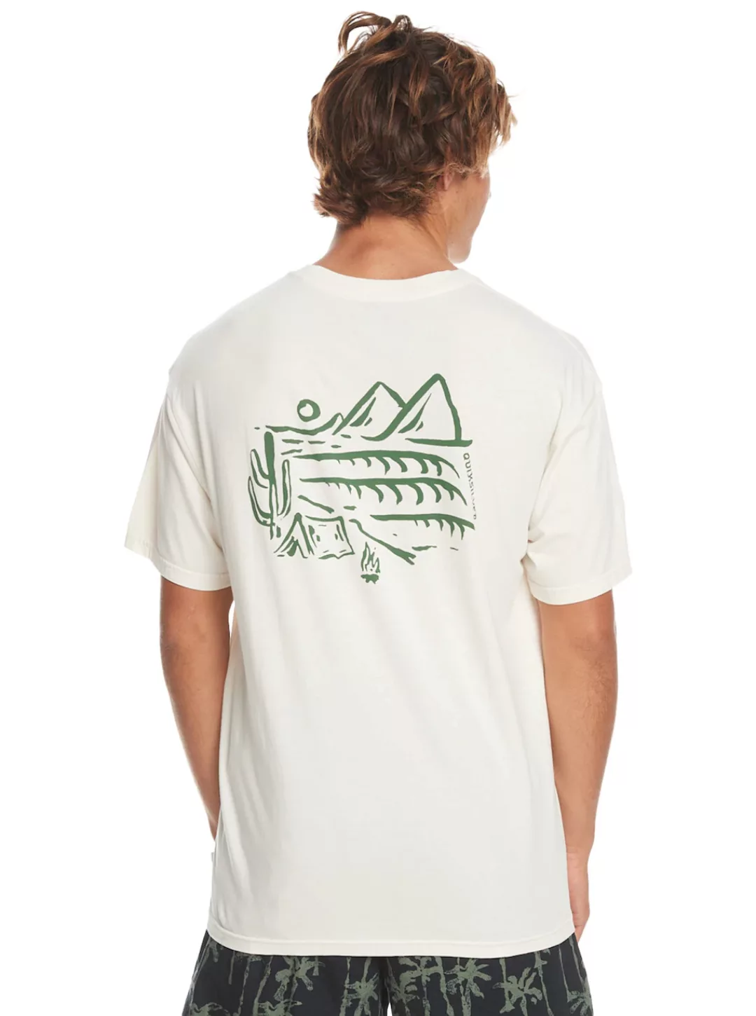 Quiksilver T-Shirt Silver Lining günstig online kaufen