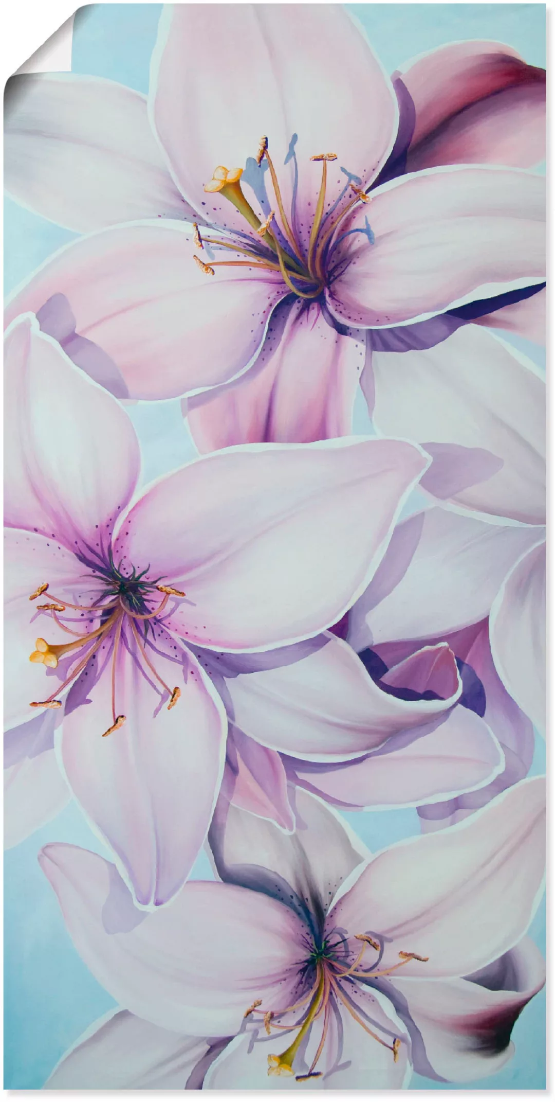 Artland Wandbild "Lilien", Blumen, (1 St.), als Leinwandbild, Poster in ver günstig online kaufen