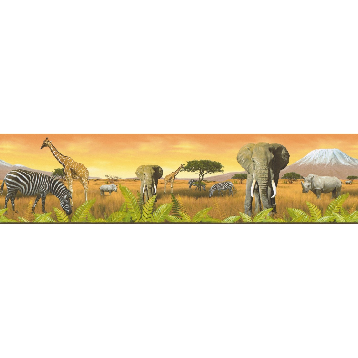 Bricoflor Afrika Tapeten Bordüre in Orange und Grün Tapetenbordüre mit Elef günstig online kaufen