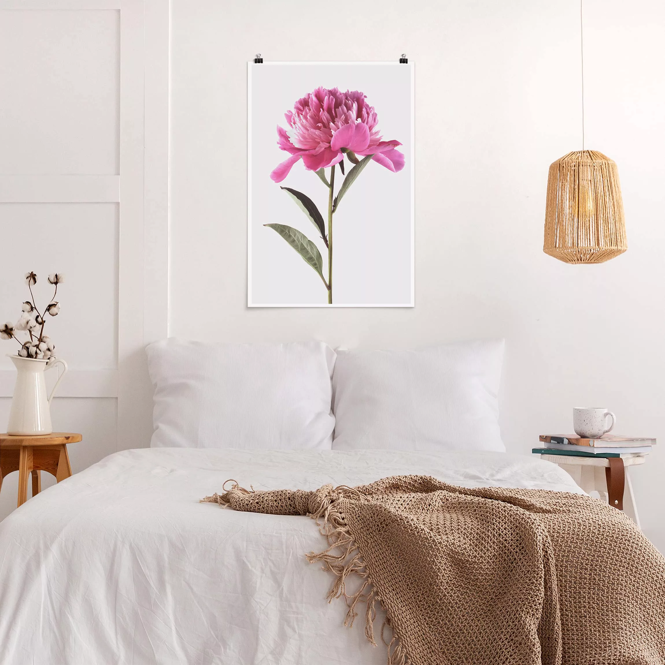 Poster Blumen - Hochformat Blühende Pfingstrose Pink auf Weiß günstig online kaufen