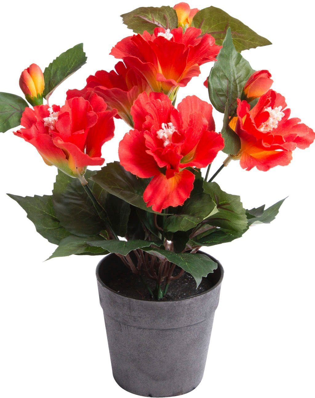 Kunstblume Hibiskus im Topf Hibiskus, Botanic-Haus, günstig online kaufen