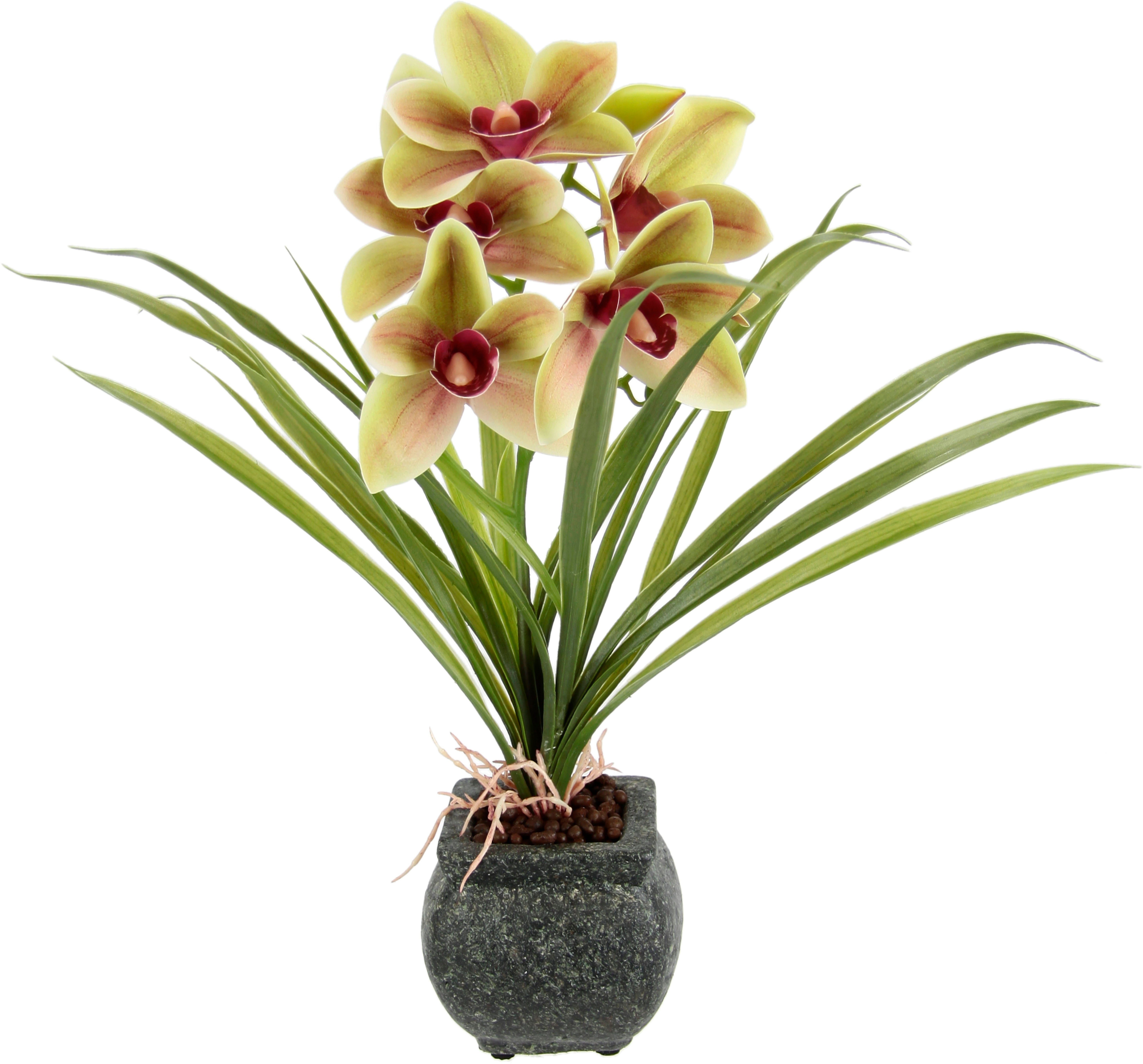 Kunstblume Orchidee, my home, Höhe 40 günstig online kaufen
