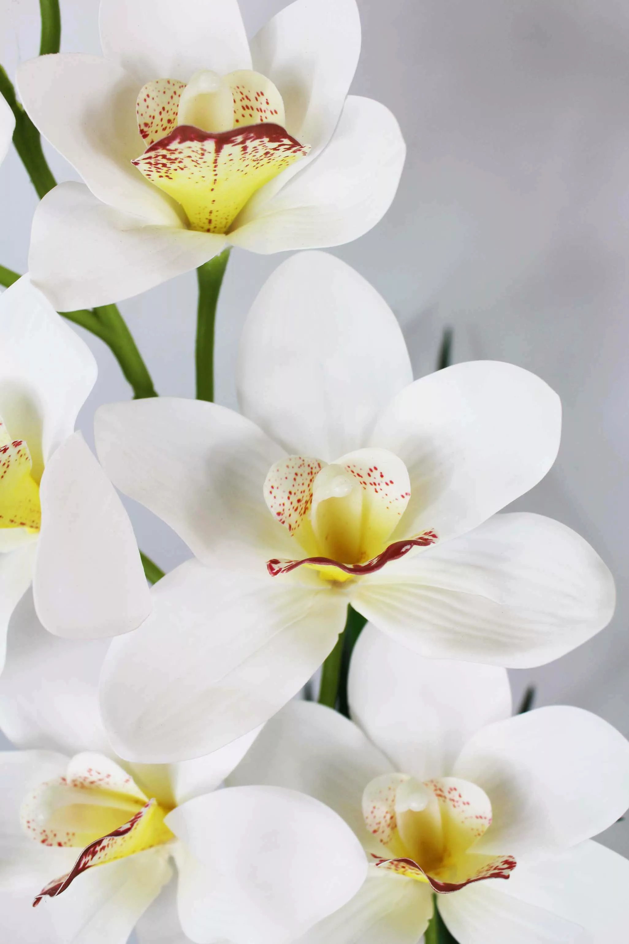 Kunstorchidee künstliche Orchidee Groß mit Kunstgras günstig online kaufen