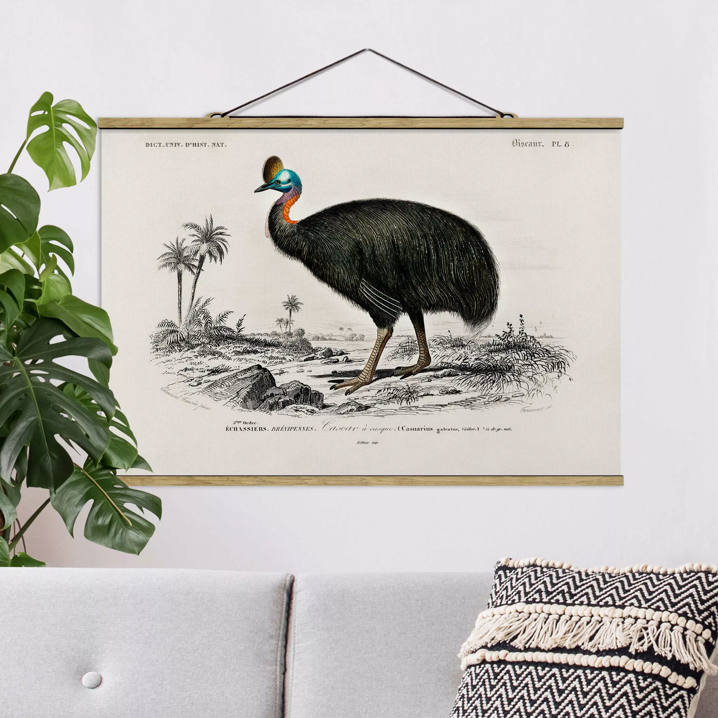 Stoffbild Tiere mit Posterleisten - Querformat Vintage Lehrtafel Emu günstig online kaufen