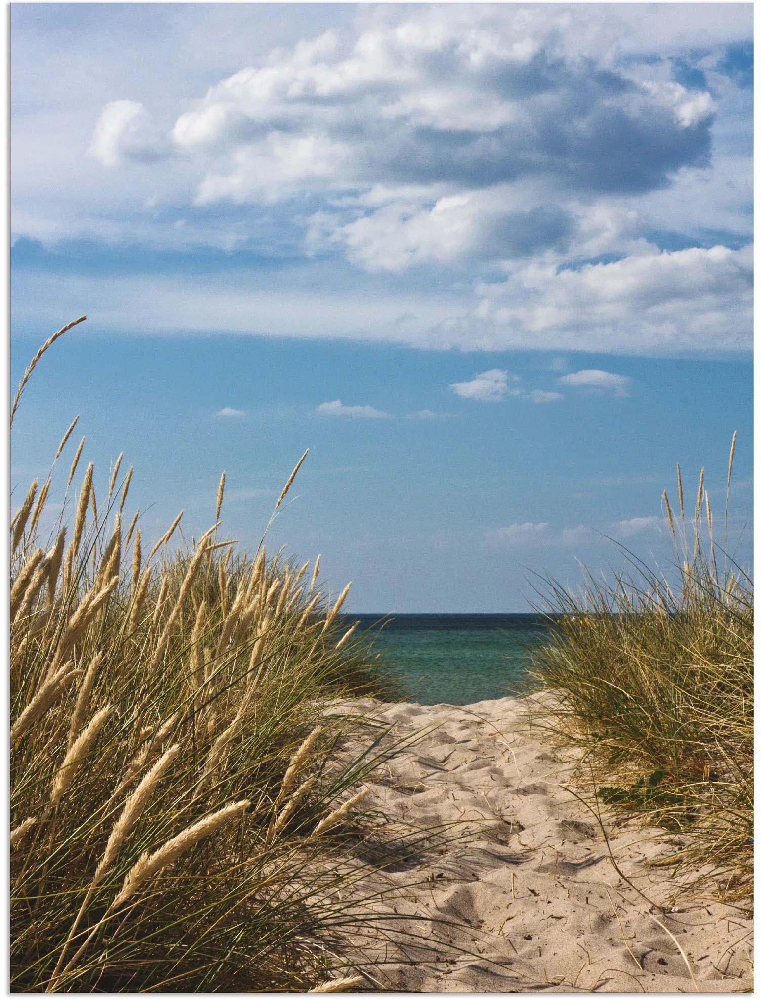 Artland Wandbild »Strandzugang an der Ostsee - Dänemark 9«, Strand, (1 St.) günstig online kaufen