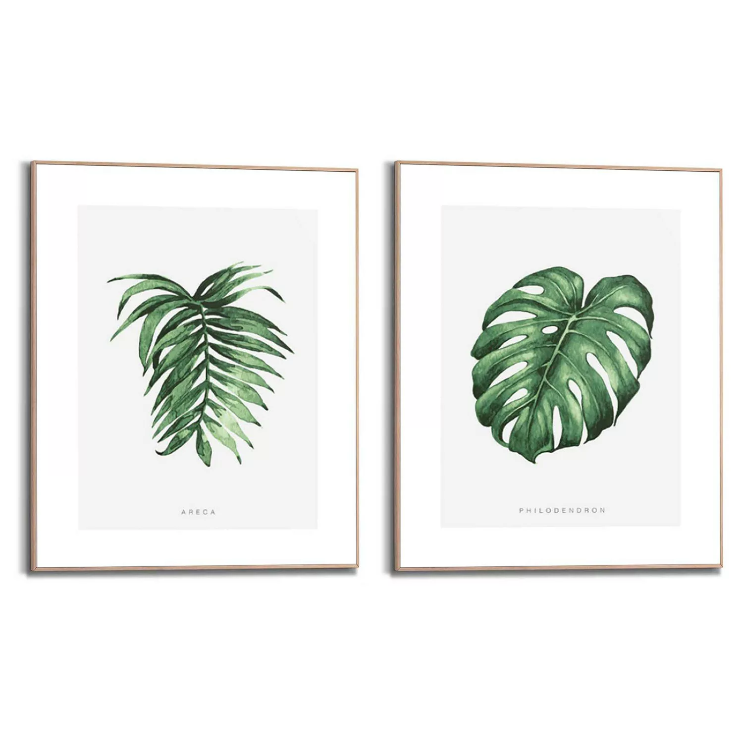 home24 Wandbilder Set Naturmotiv Philodendron günstig online kaufen
