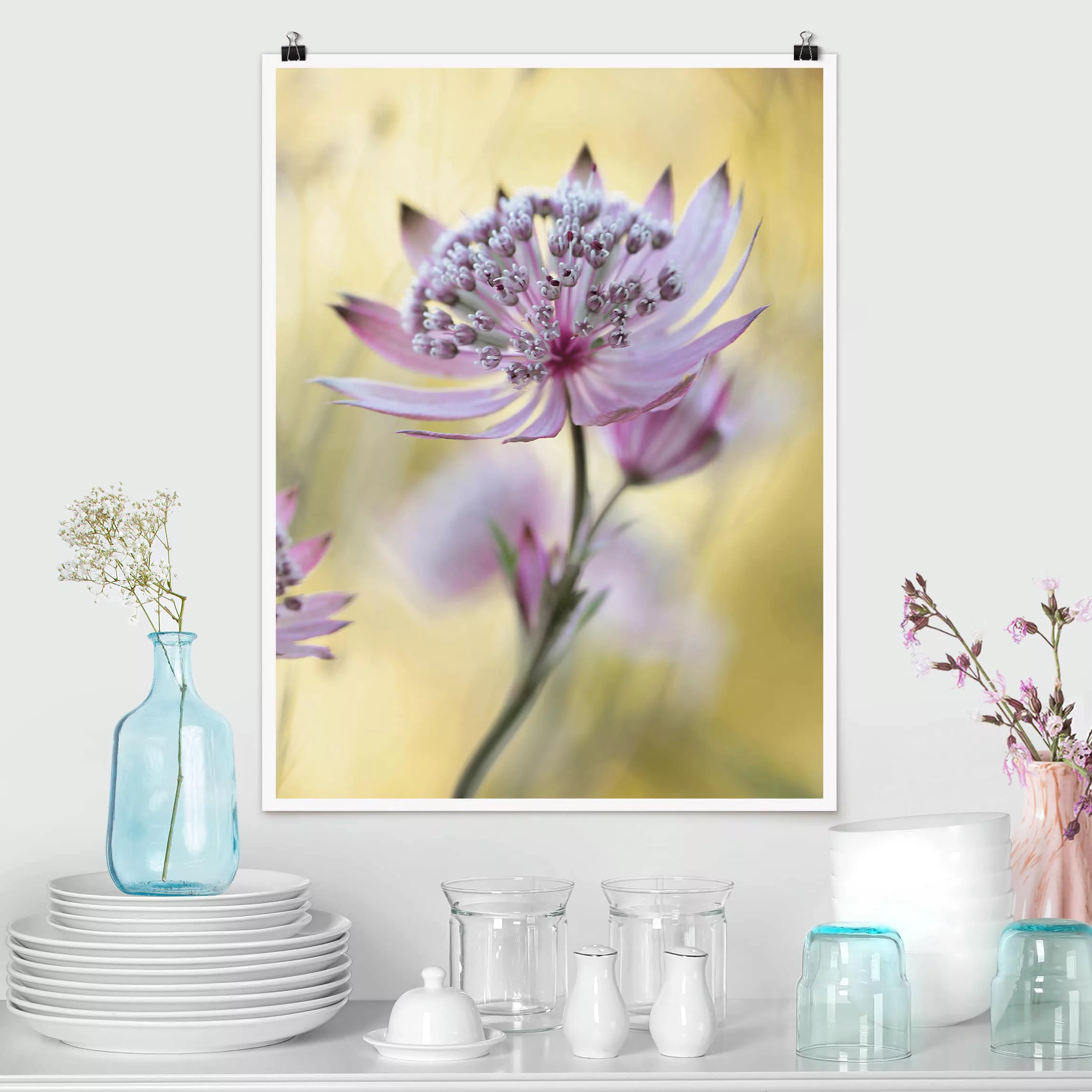 Poster Blumen - Hochformat Astrantia Major günstig online kaufen