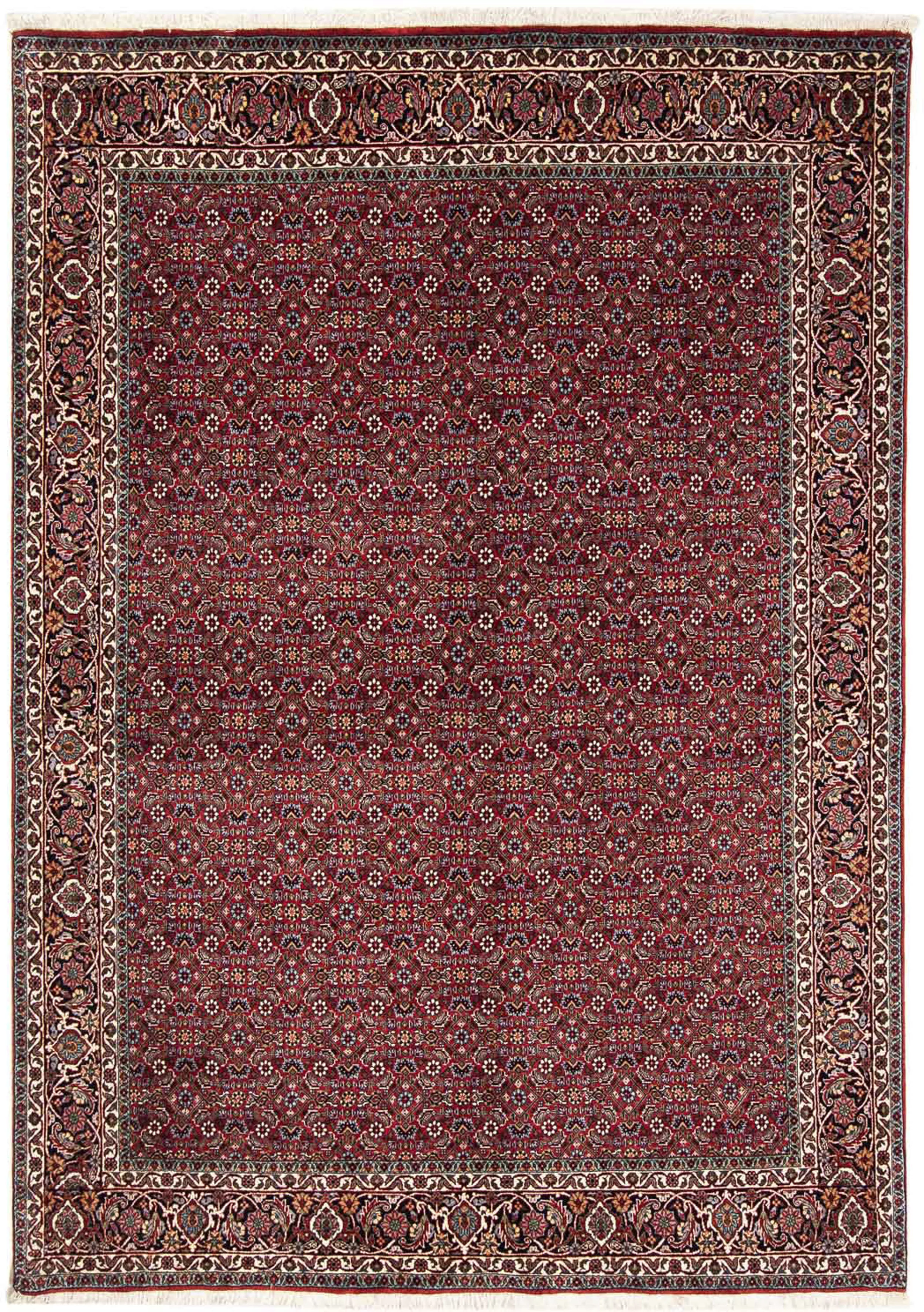 morgenland Orientteppich »Perser - Bidjar - 231 x 170 cm - dunkelrot«, rech günstig online kaufen