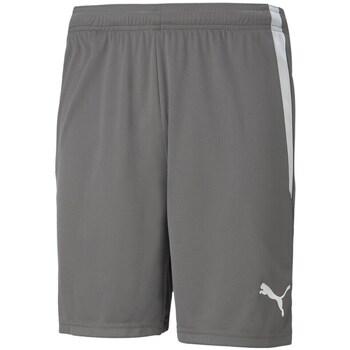 Puma  7/8 & 3/4 Hosen Teamliga günstig online kaufen