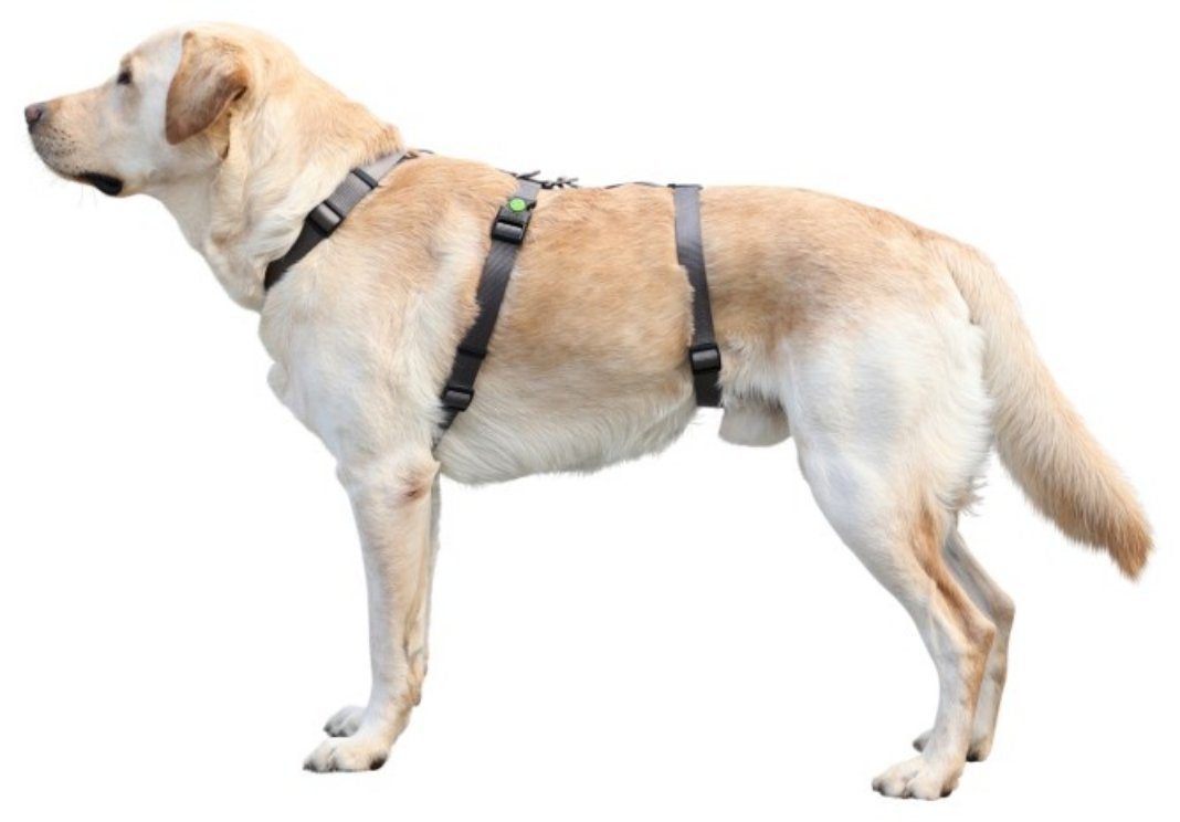 Kerbl Hunde-Sicherheitsgeschirr Panikgeschirr Miami 48 cm günstig online kaufen