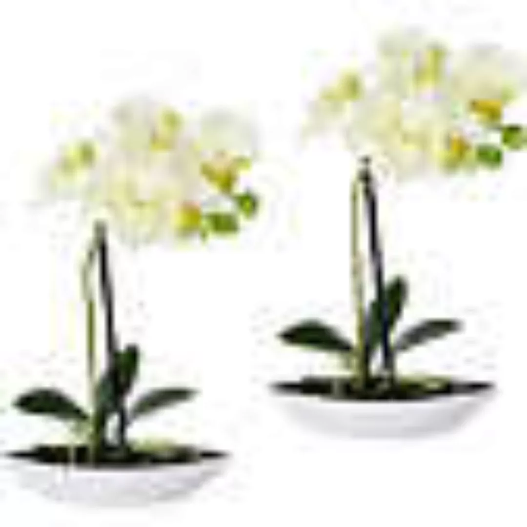 Kunstpflanze Orchidee 2er-Pack creme günstig online kaufen