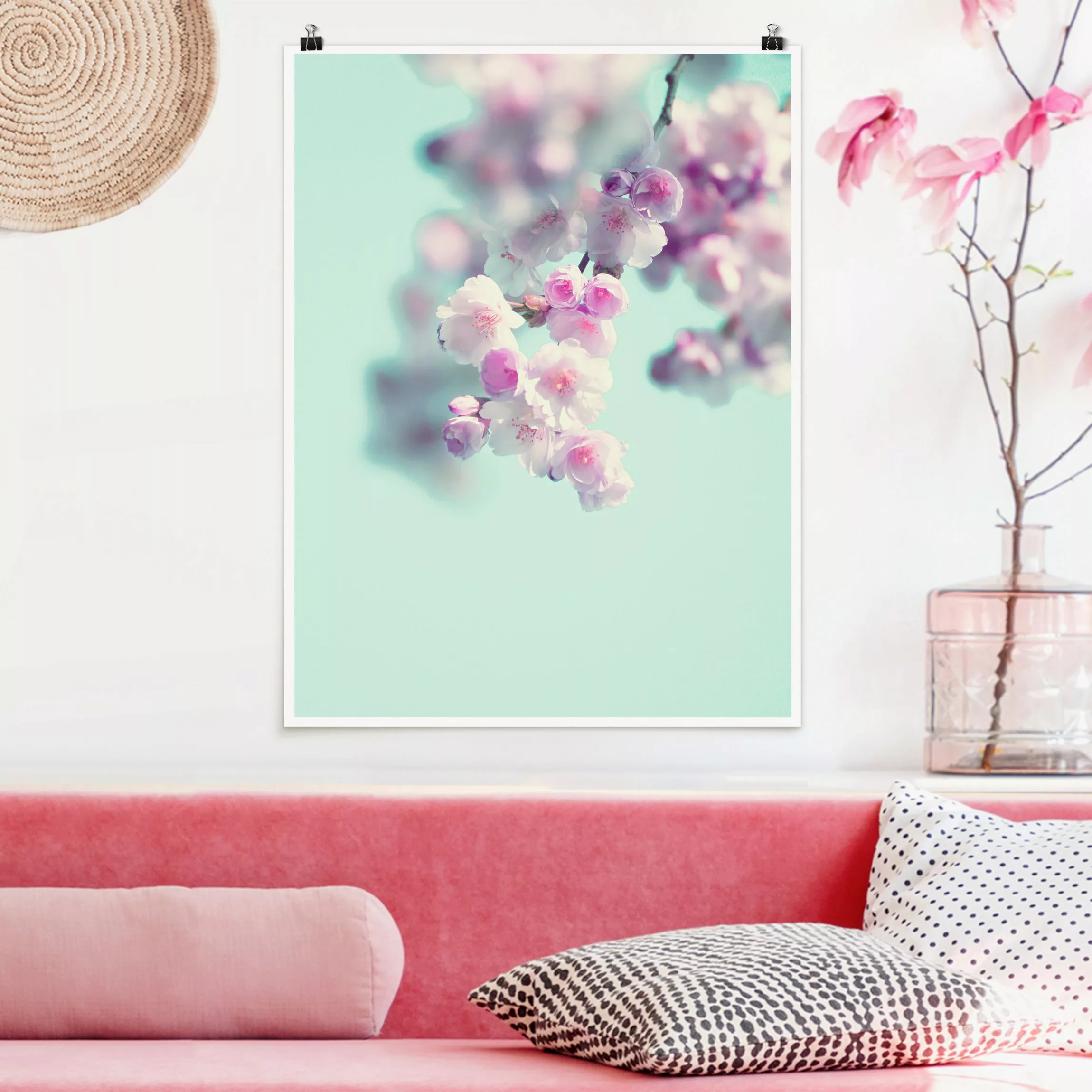Poster Farbenfrohe Kirschblüten günstig online kaufen