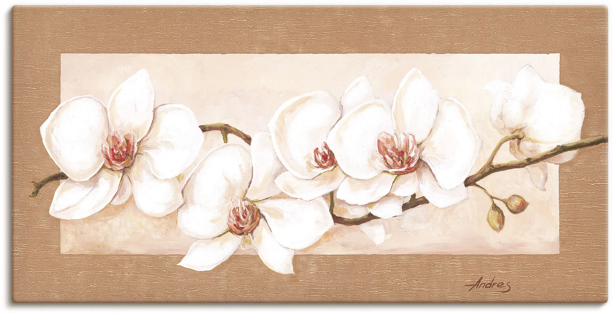 Artland Wandbild "Orchideenzweig", Blumenbilder, (1 St.), als Alubild, Outd günstig online kaufen