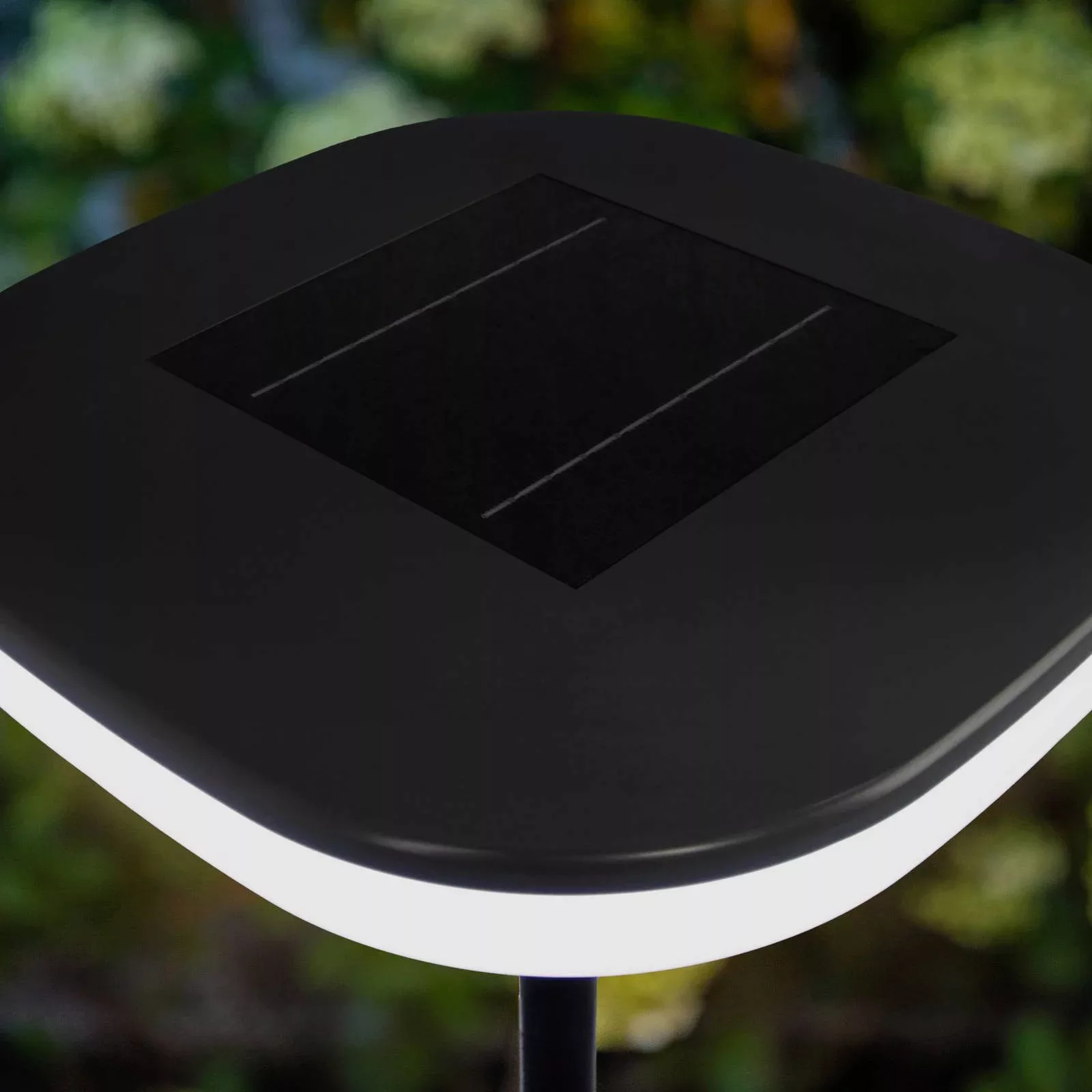 LED-Akku-Solar-Stehleuchte Solara, schwarz, Höhe 170 cm, Alu günstig online kaufen
