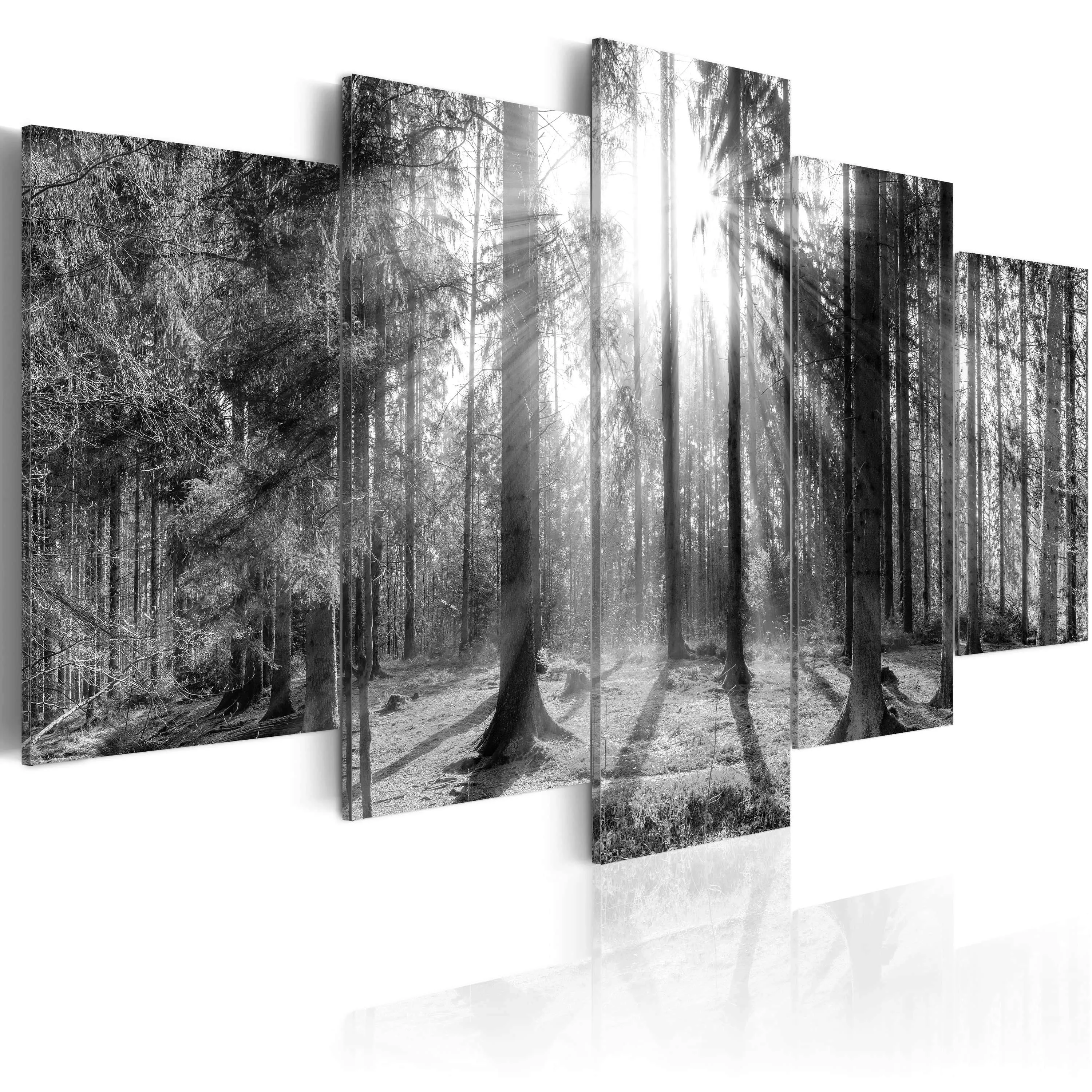 Wandbild - Forest of Memories günstig online kaufen