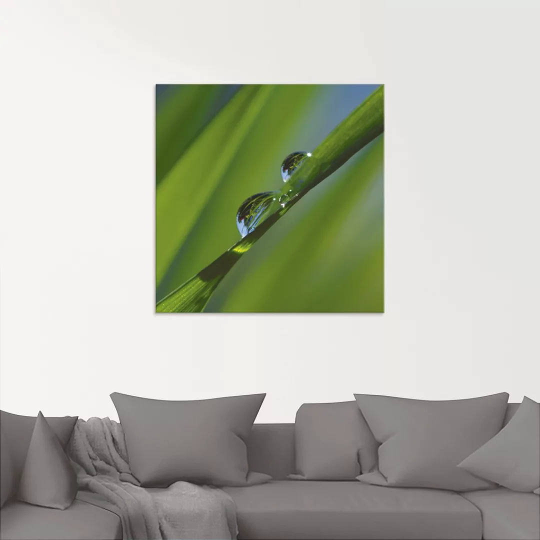 Artland Glasbild "Wassertropfen auf Grashalm", Gräser, (1 St.), in verschie günstig online kaufen