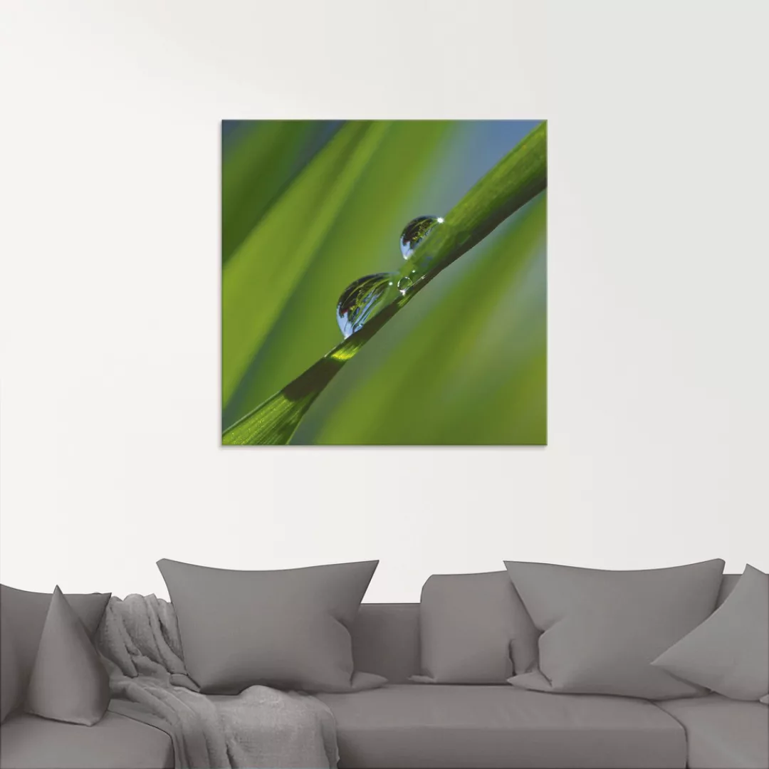 Artland Glasbild "Wassertropfen auf Grashalm", Gräser, (1 St.) günstig online kaufen