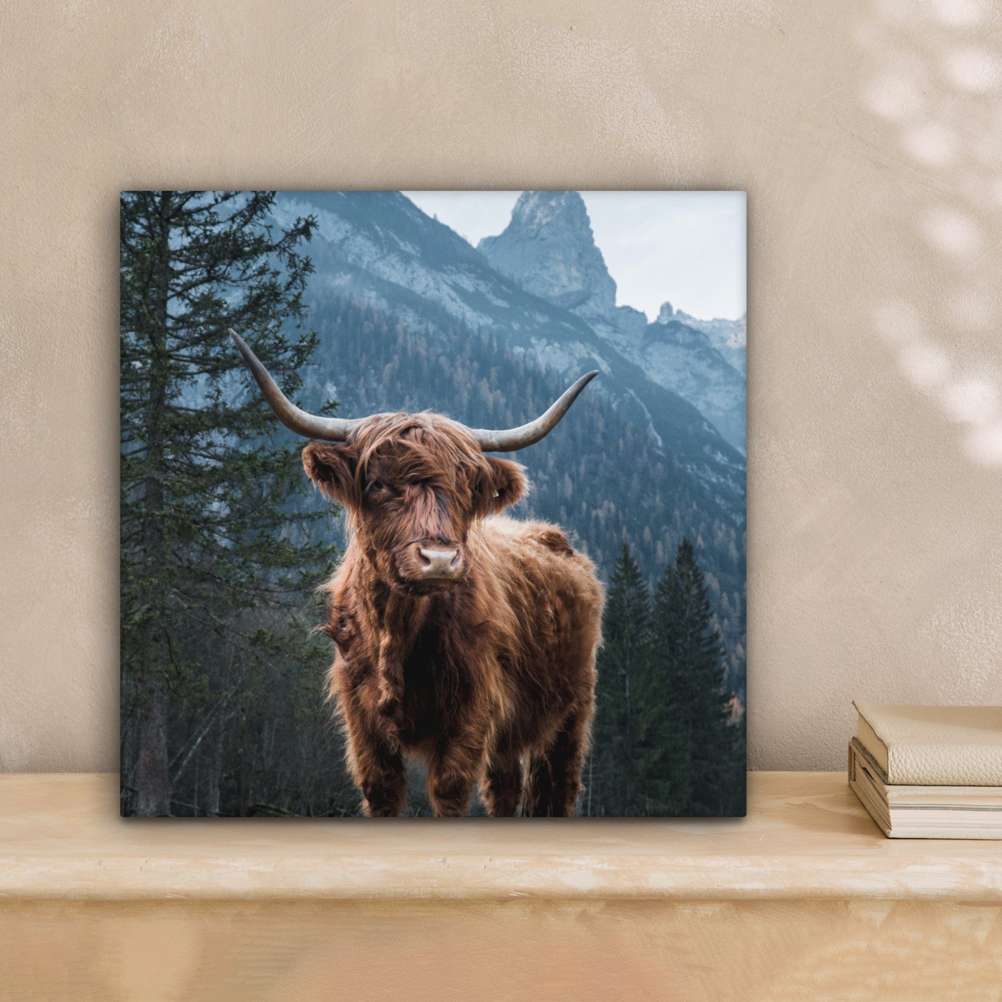 OneMillionCanvasses® Leinwandbild Kuh - Schottischer Highlander günstig online kaufen