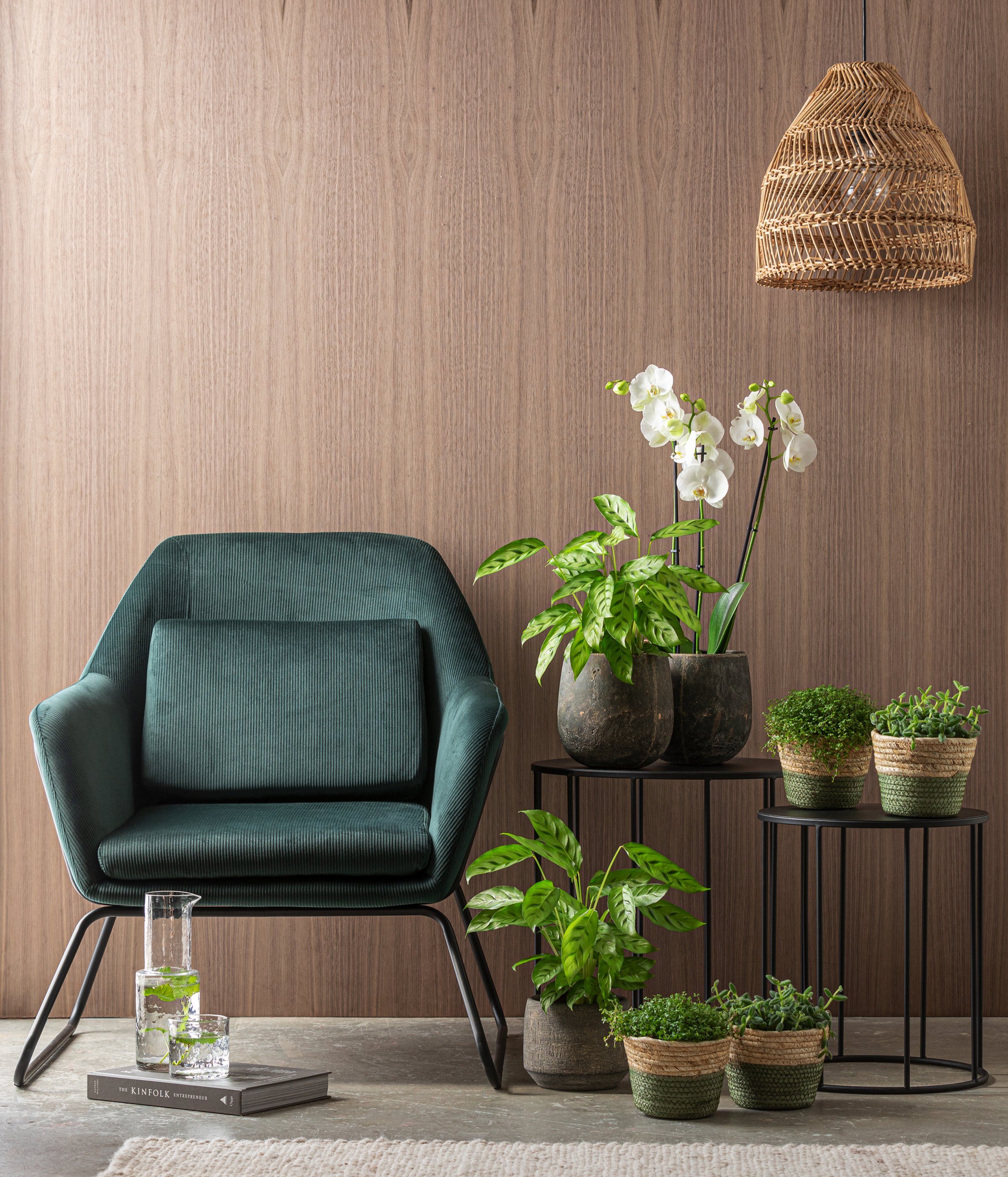 Dehner Blumentopf Elias, Ø 26 cm, günstig online kaufen
