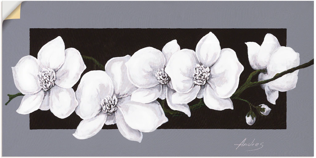 Artland Wandbild "Weiße Orchideen auf grau", Blumen, (1 St.), als Alubild, günstig online kaufen