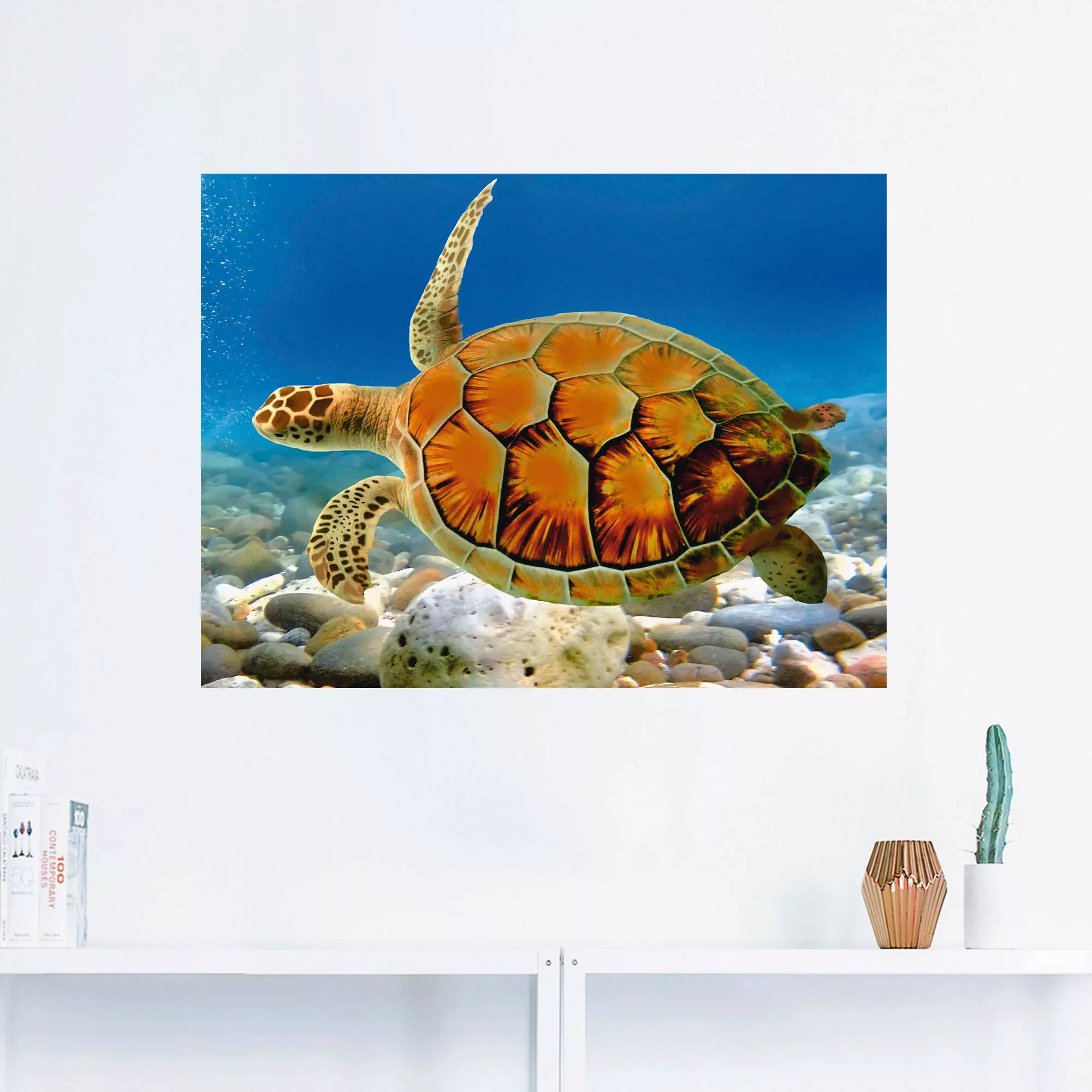 Artland Wandbild "Schildkröte", Wassertiere, (1 St.), als Leinwandbild, Pos günstig online kaufen