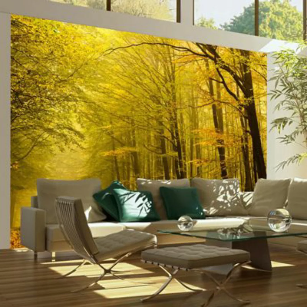 artgeist Fototapete Hübsche Herbstallee mehrfarbig Gr. 200 x 154 günstig online kaufen